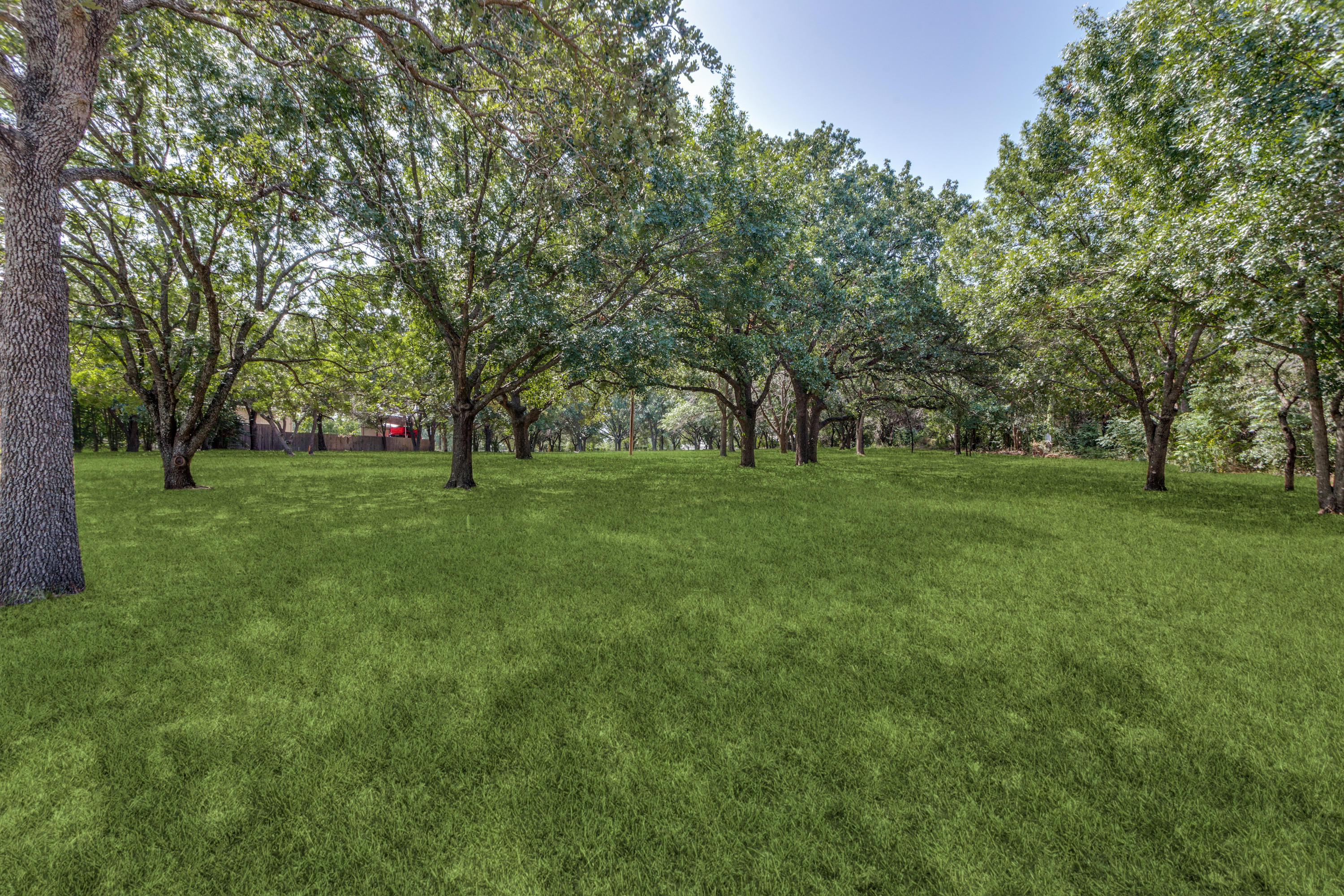  A Picturesque 2-Acre Wooded Lot in Mansfield - 物件實景