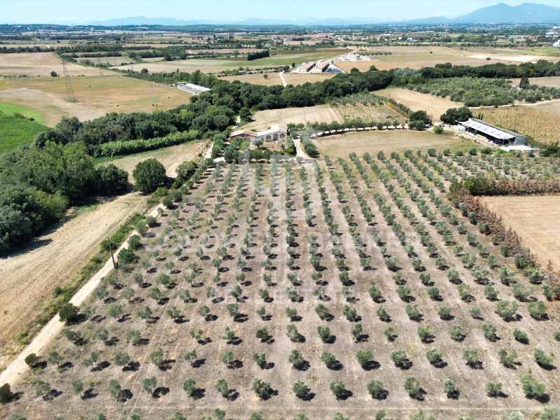 Girona, Siurana, Siurana Girona, Siurana, Siurana, Siurana, Catalonia, ES, 5 Bedrooms Bedrooms, ,3 BathroomsBathrooms,Residential,For Sale,Girona, Siurana, Siurana Girona, Siurana, Siurana ,1621457