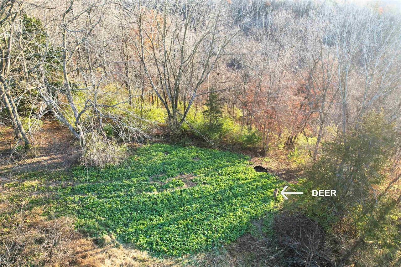 Muscoda, Wisconsin, 53573, United States, 3 Bedrooms Bedrooms, ,3 BathroomsBathrooms,Residential,For Sale,1990387