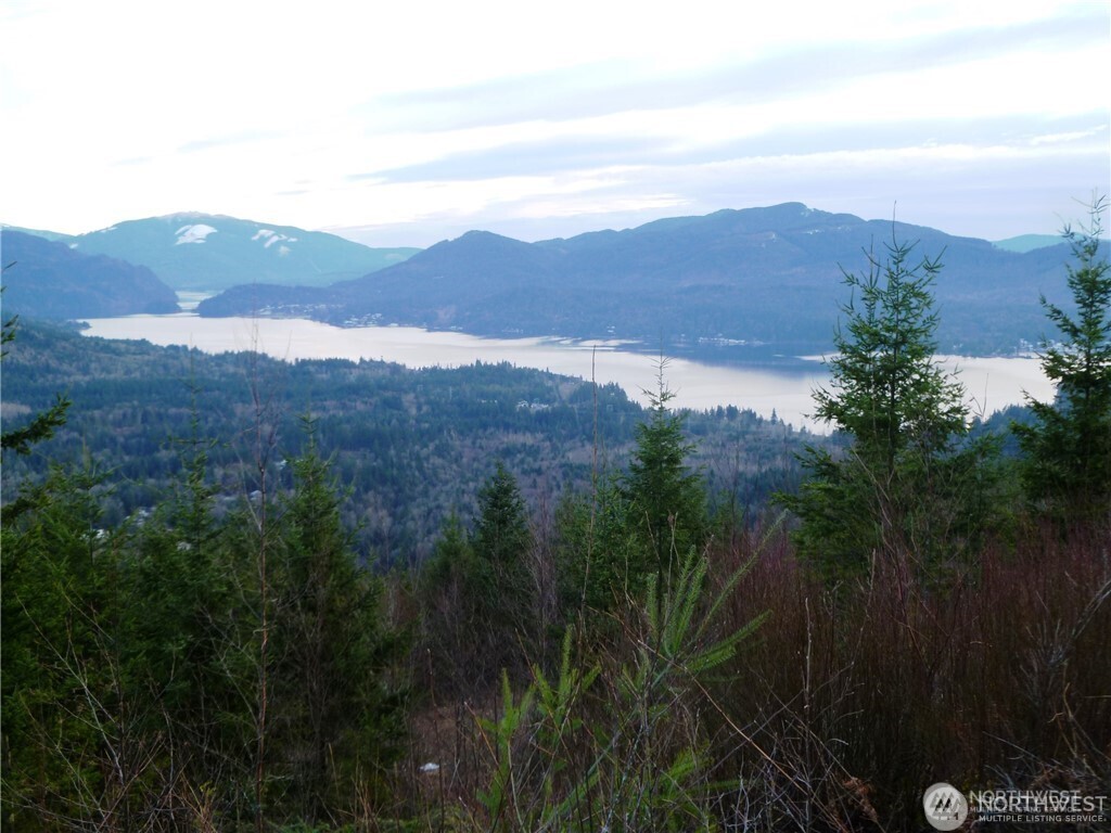 Bellingham, Washington, 98226, United States, ,Land,For Sale,1846536