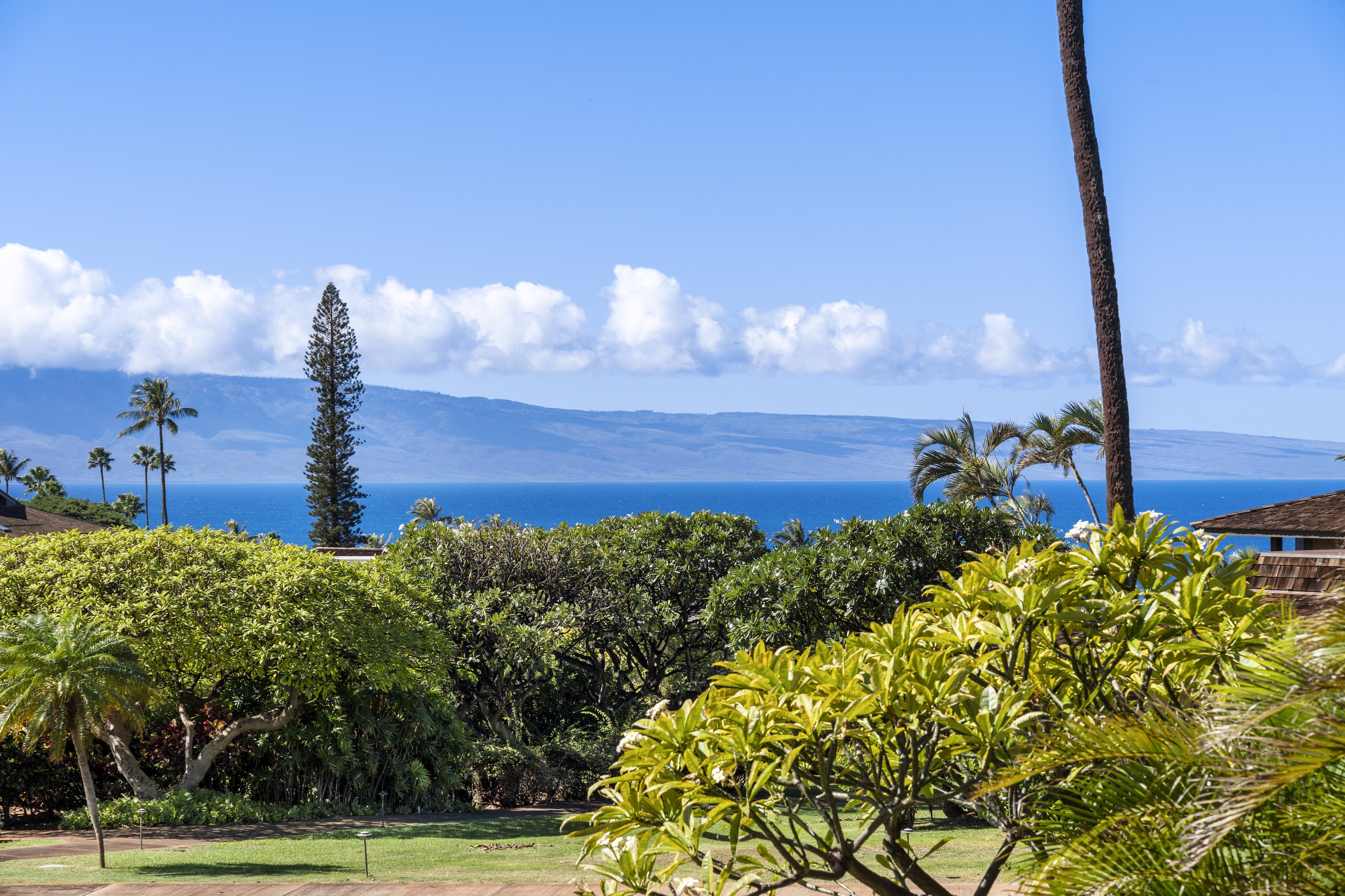  Breathtaking Views from the Kaanapali Hillside on West Maui - 物件實景
