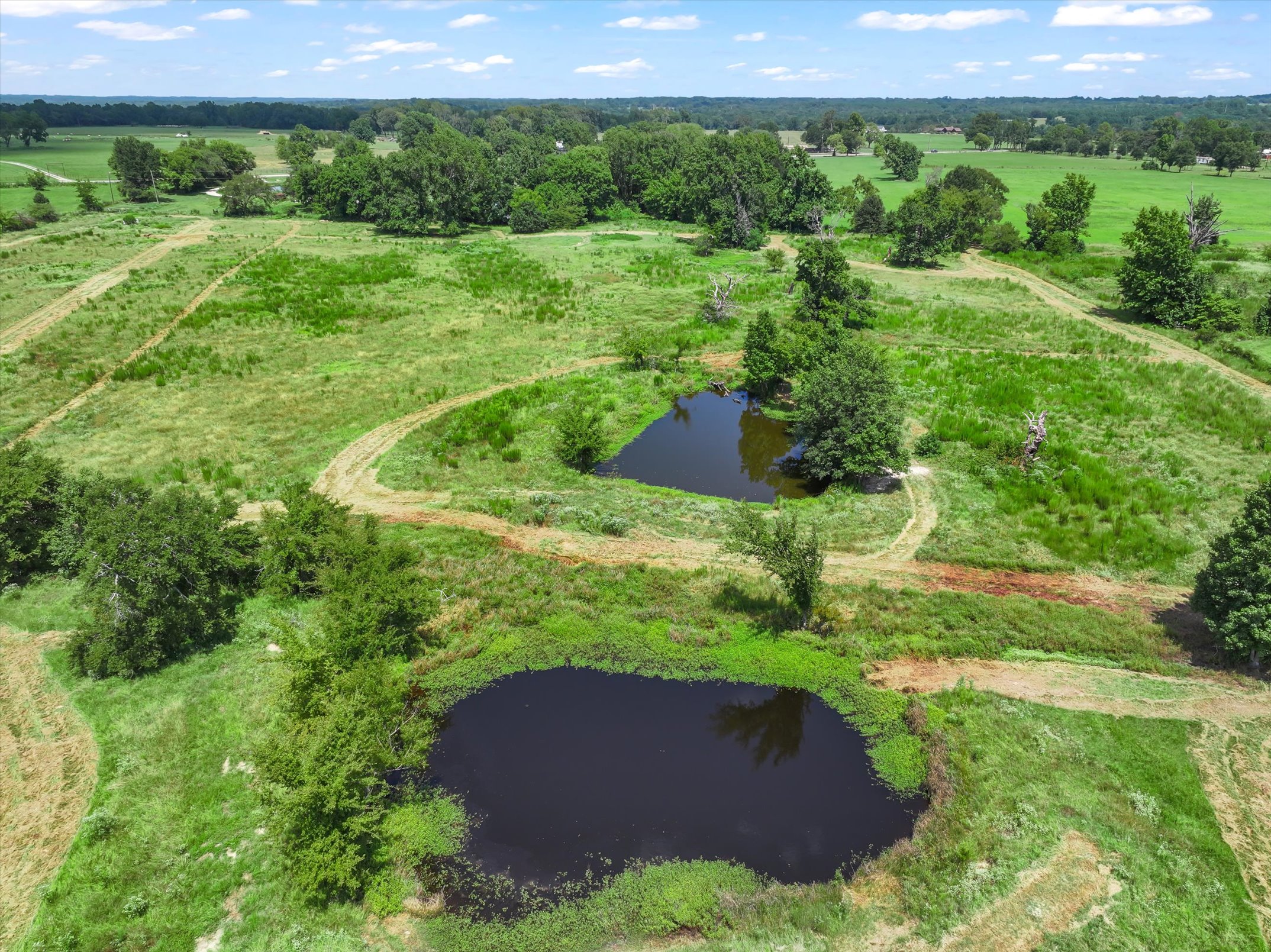 Canton, Texas, 75103, United States, 3 Bedrooms Bedrooms, ,2 BathroomsBathrooms,Residential,For Sale,1974992