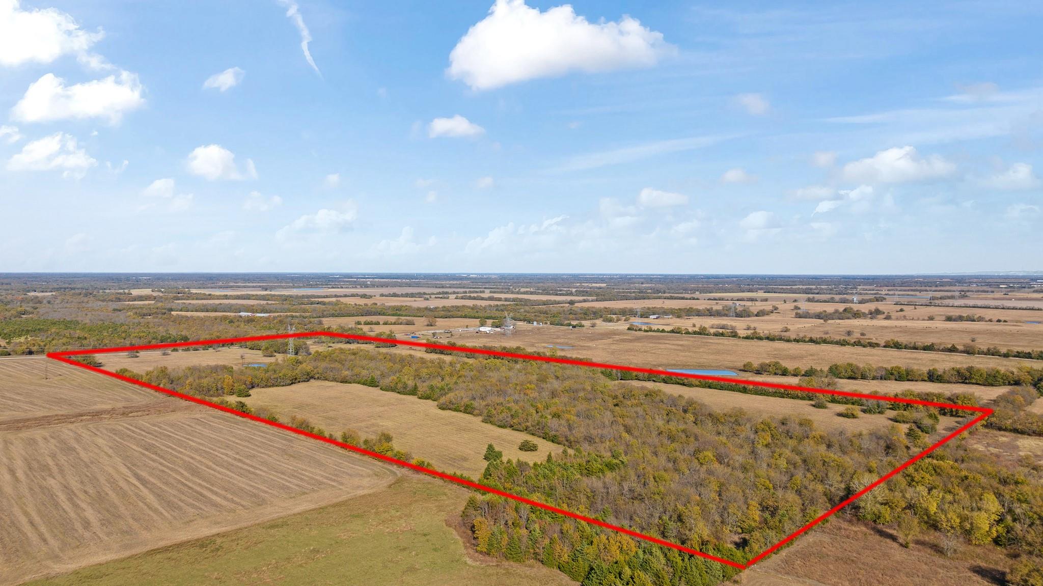 Honey Grove, Texas, 75446, United States, ,Land,For Sale,1992343