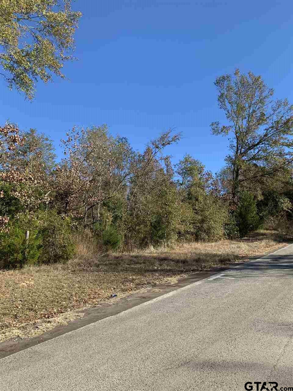 TBD CR 463 & I20, Lindale, Texas, 75771, United States, ,Land,For Sale,TBD CR 463 & I20,1673593