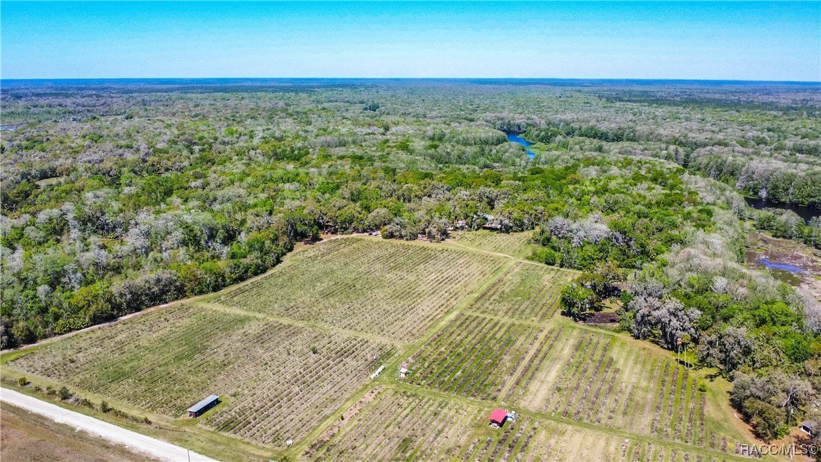 Inverness, Florida, 34450, United States, 3 Bedrooms Bedrooms, ,2 BathroomsBathrooms,Residential,For Sale,1881074