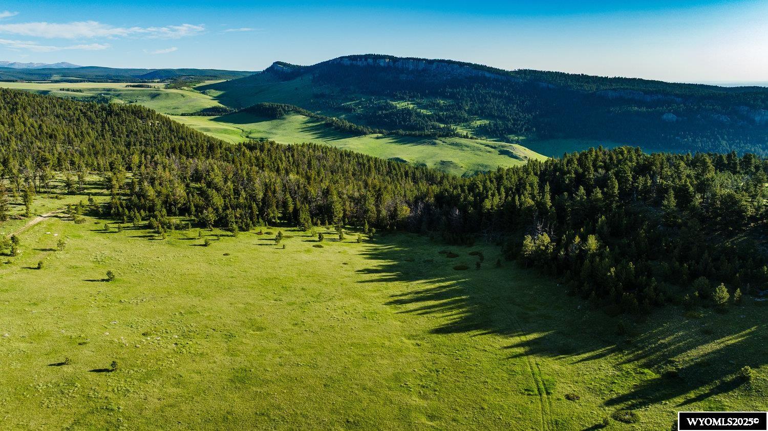 Buffalo, Wyoming, 82834, United States, ,Land,For Sale,1778348