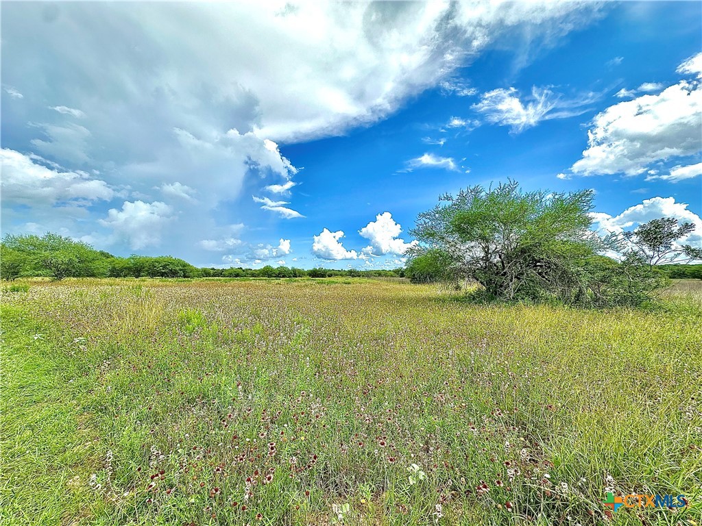 Nursery, Texas, 77976, United States, ,Land,For Sale,1885536