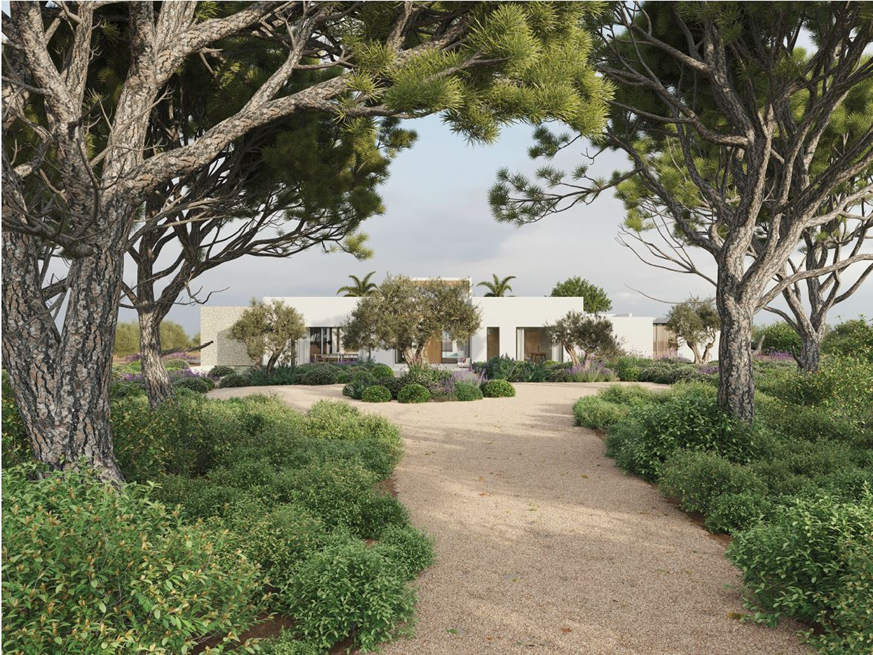  Land with license and luxury villa project in Santa Eulalia - 物件實景