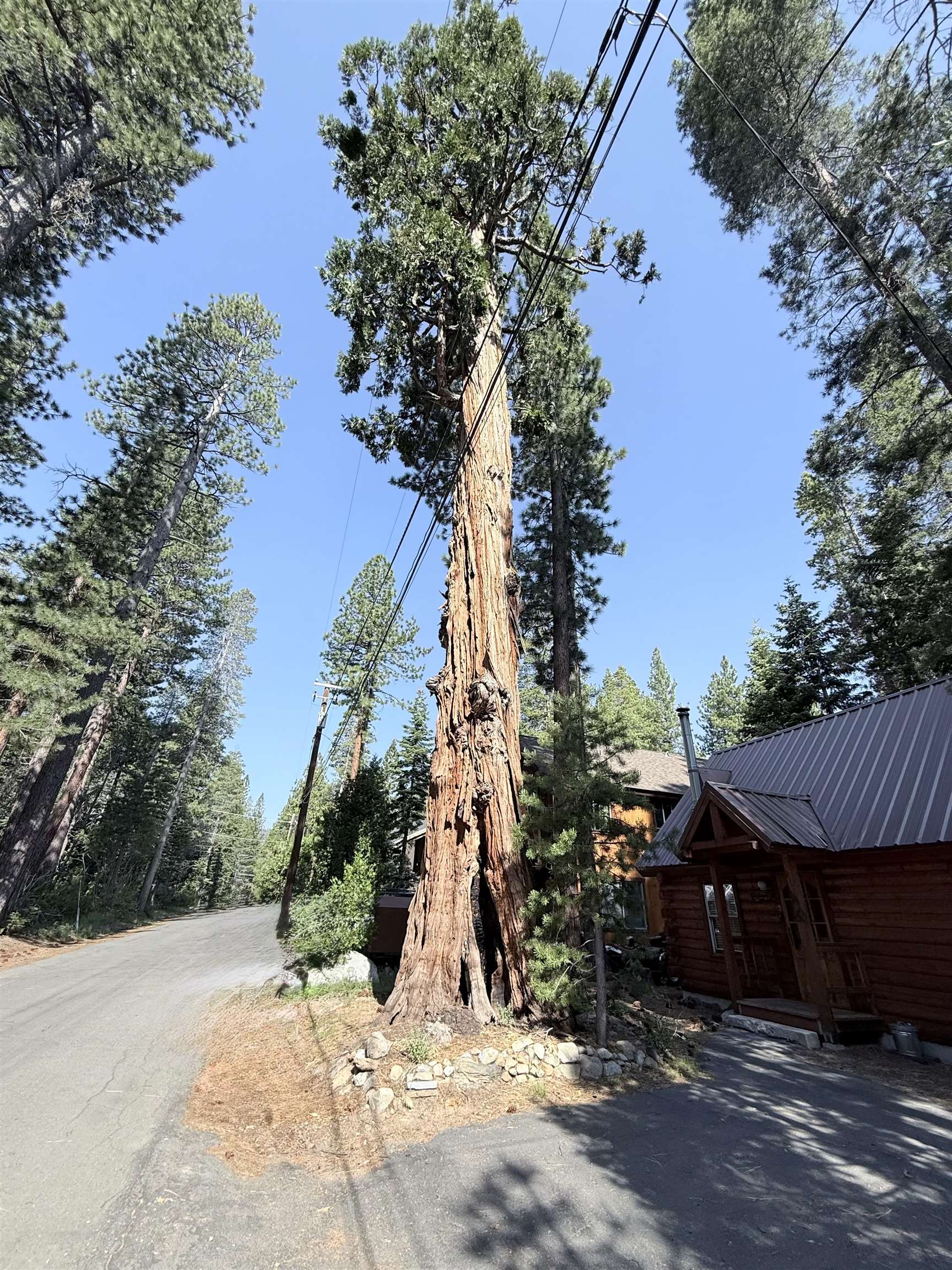 Tahoma, California, 96142, United States, 2 Bedrooms Bedrooms, ,1 BathroomBathrooms,Residential,For Sale,1848171