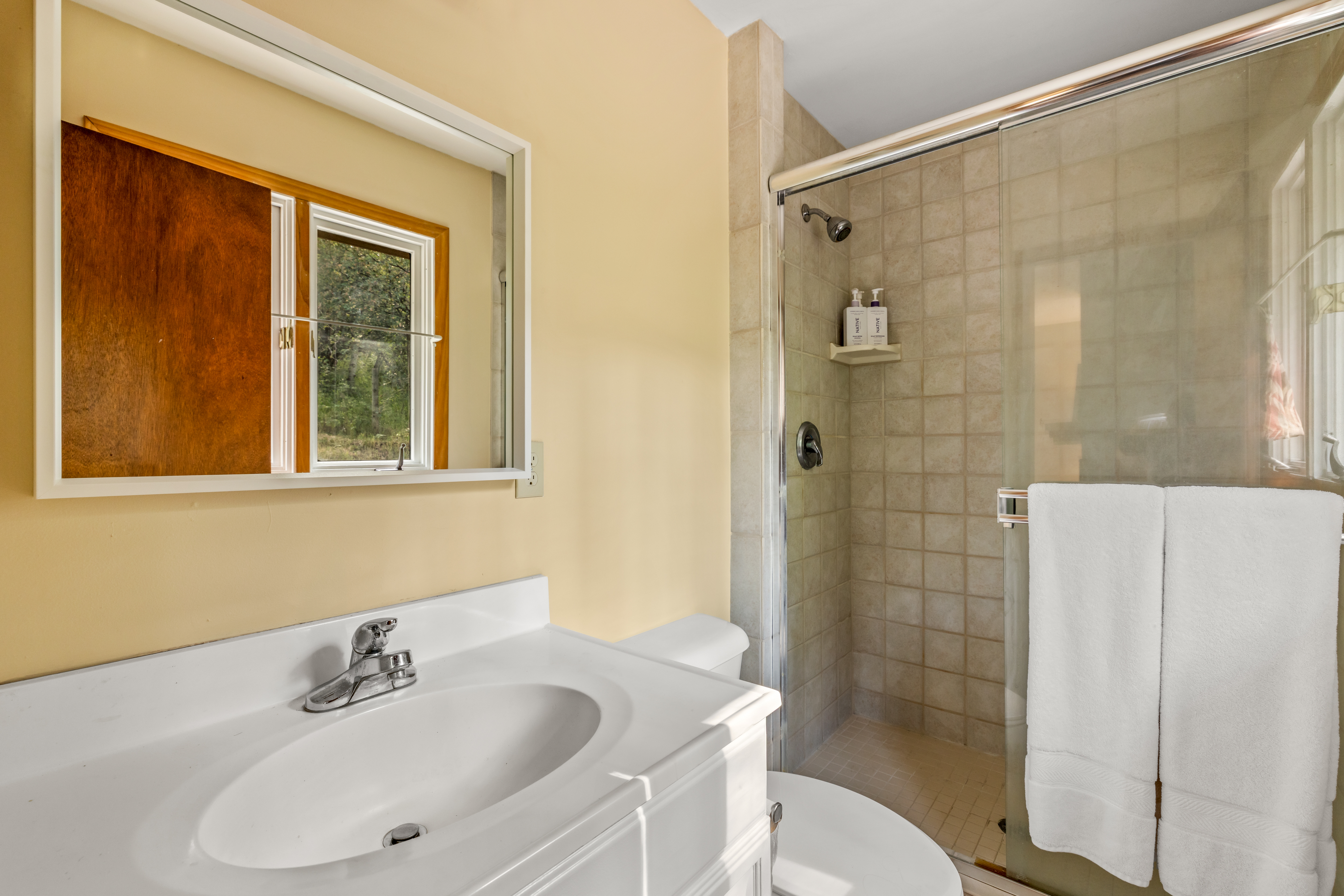  1141 Thornburg Street, Steamboat Springs, CO, 80487 - 物件實景