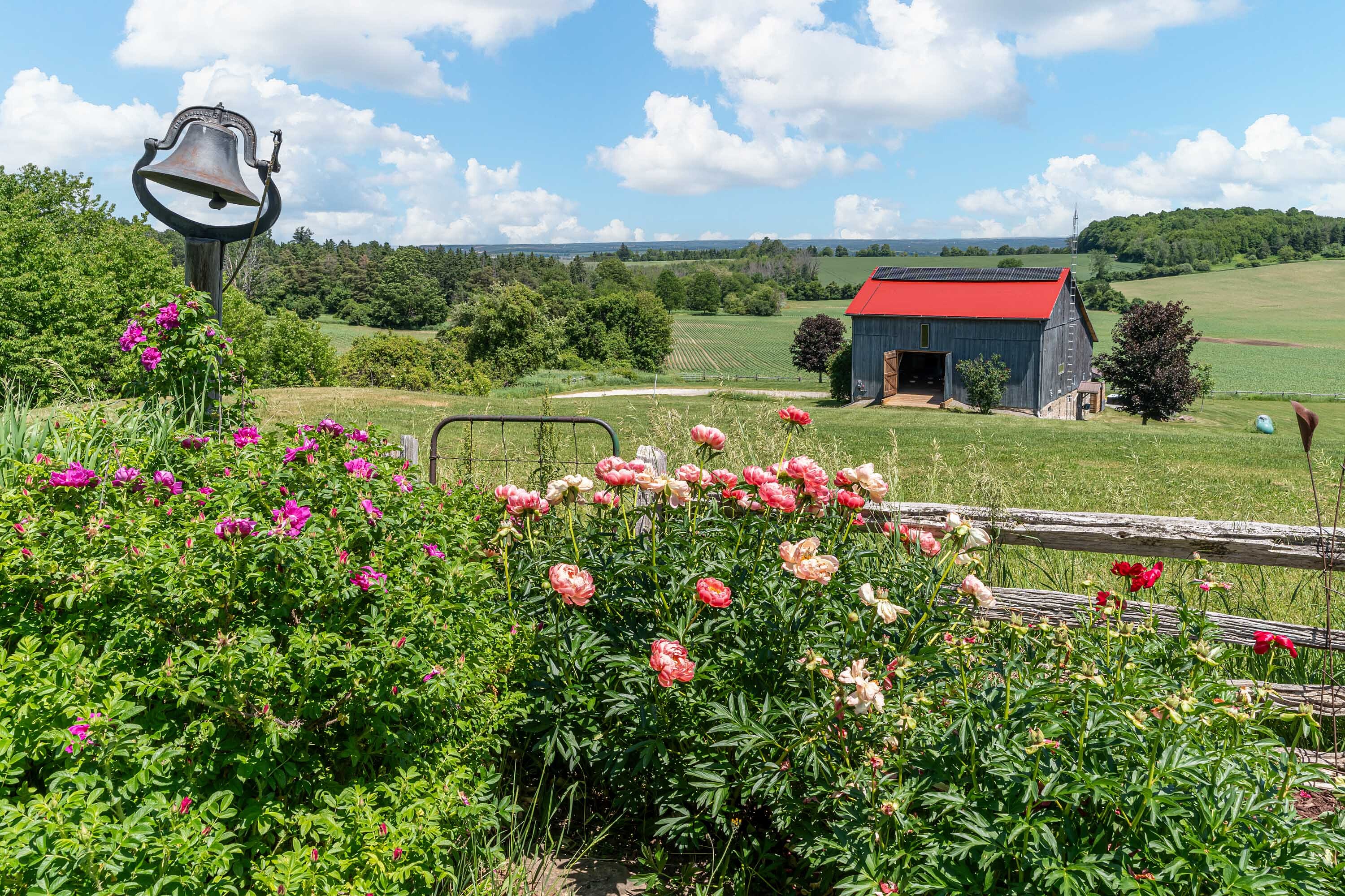  Pond Hill Farm - 物件實景