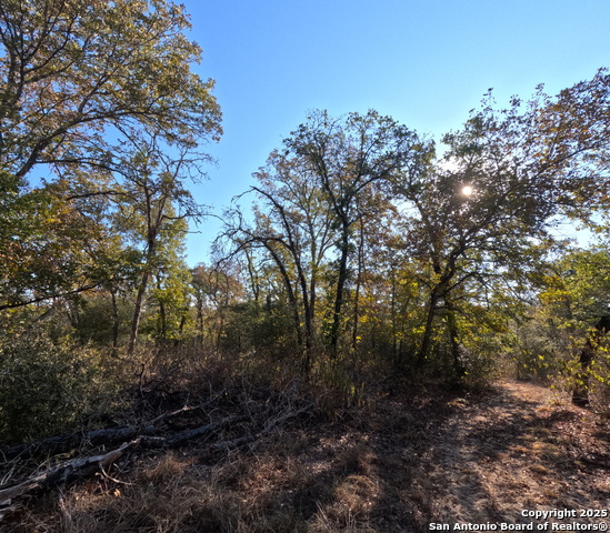 Seguin, Texas, 78155, United States, ,2 BathroomsBathrooms,Residential,For Sale,1983192