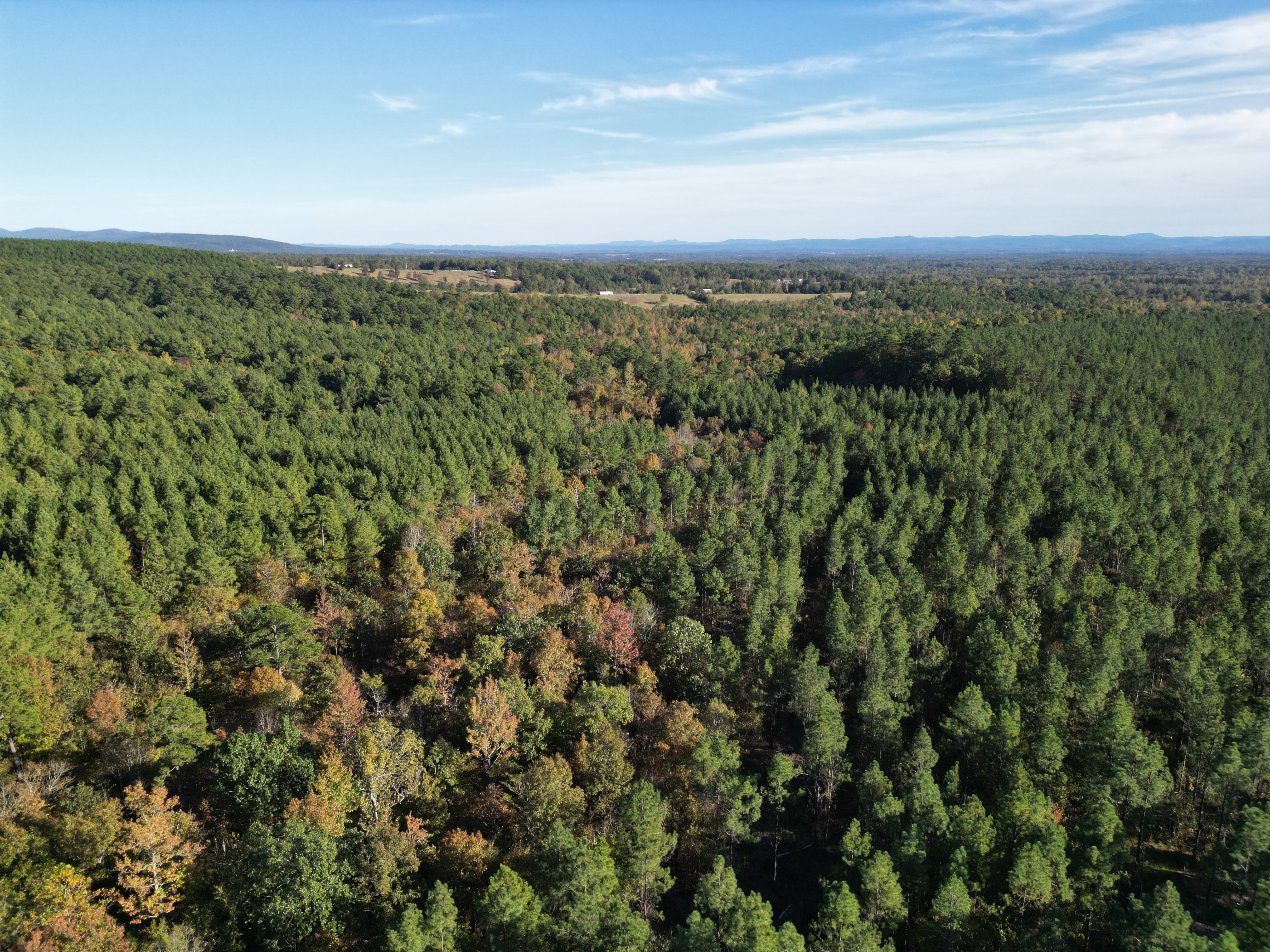 Mena, Arkansas, 71953, United States, ,Land,For Sale,1973758
