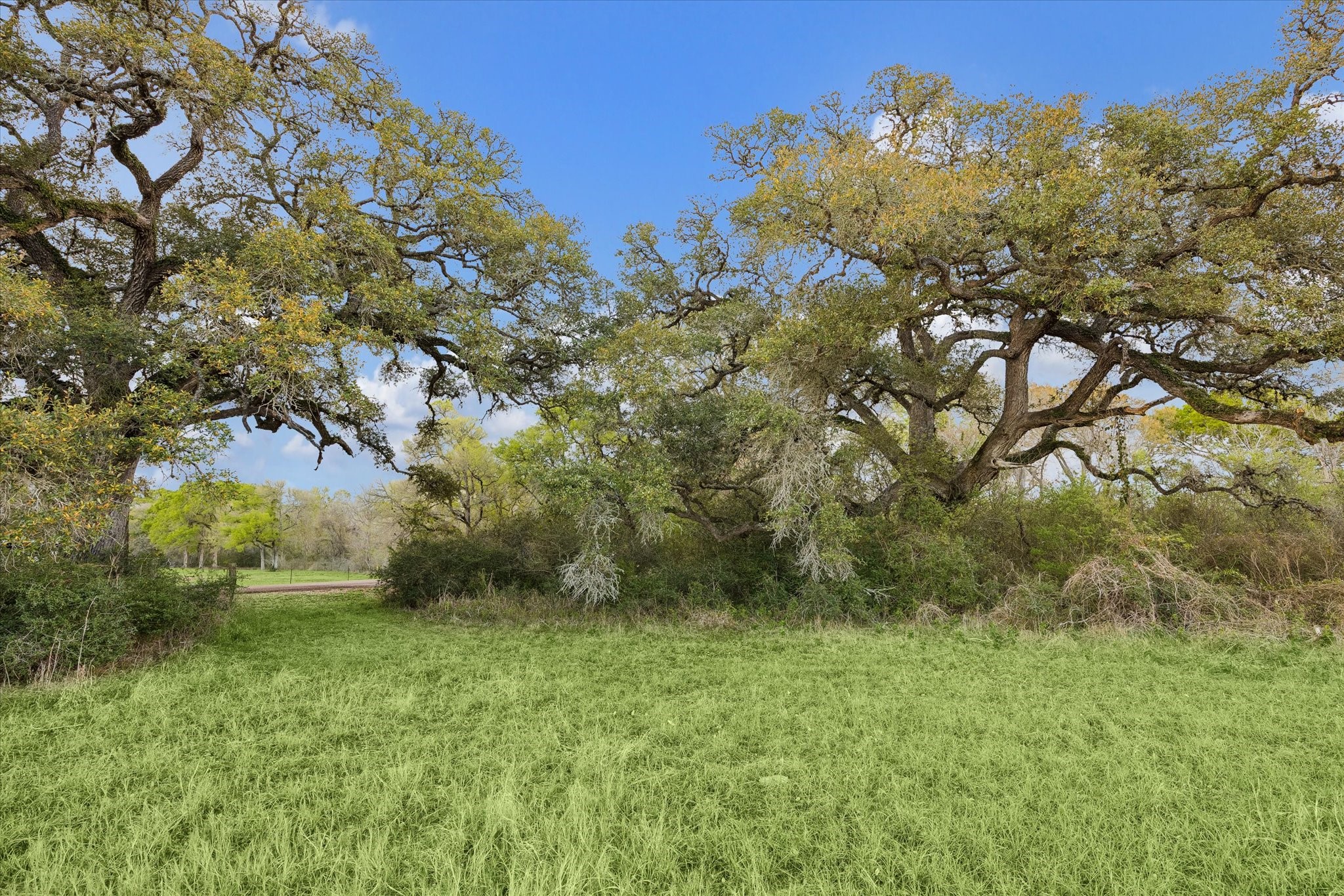  895 S Weyand Road - 物件實景