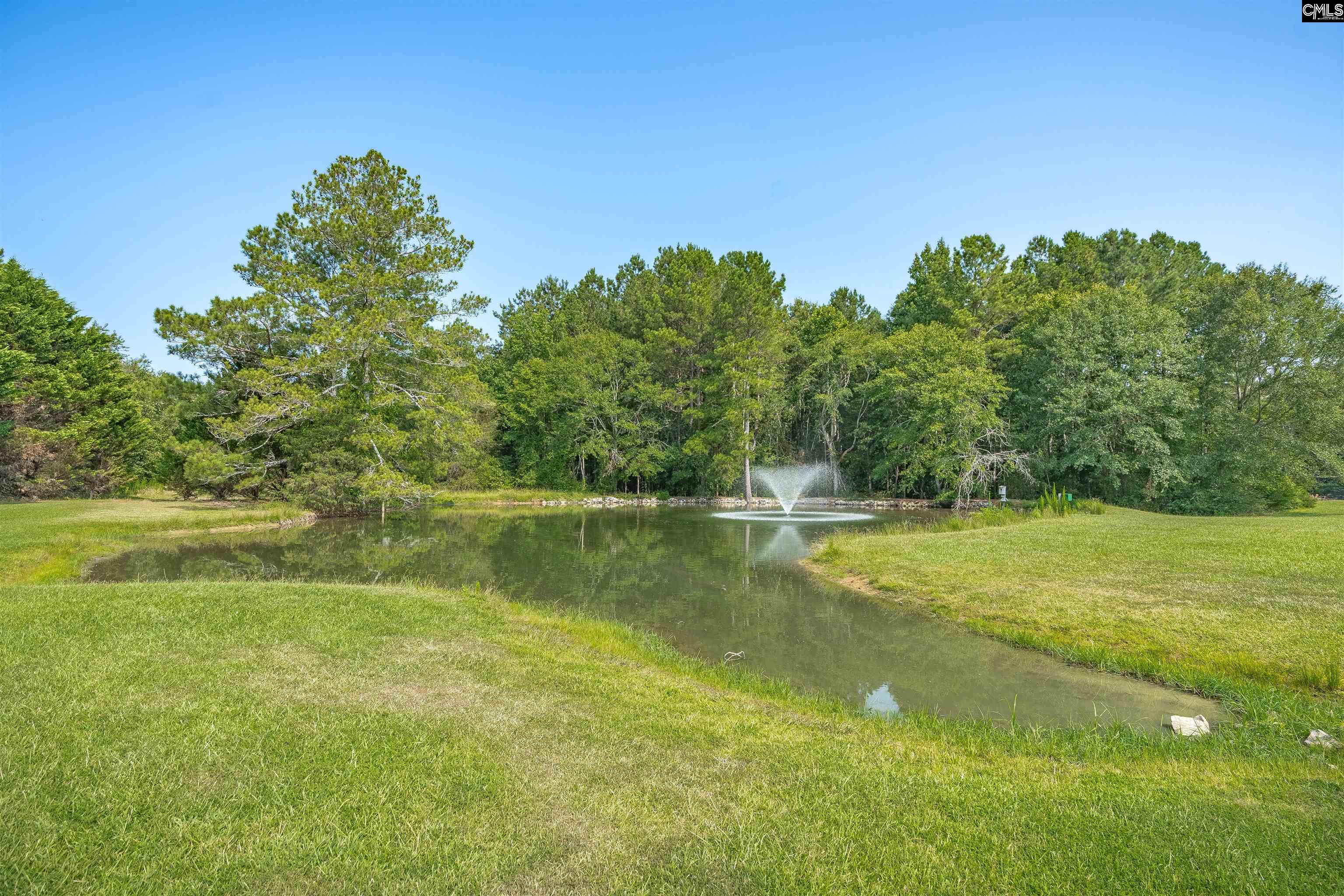 Newberry, South Carolina, 29108, United States, 3 Bedrooms Bedrooms, ,3 BathroomsBathrooms,Residential,For Sale,1987677