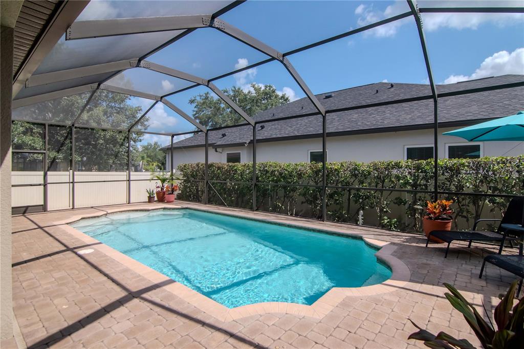 Land O Lakes, Florida, 34637, United States, 4 Bedrooms Bedrooms, ,3 BathroomsBathrooms,Residential,For Sale,1925583
