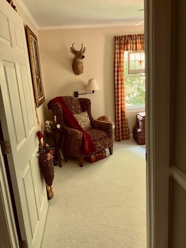 Young Harris, Georgia, 30582, United States, 3 Bedrooms Bedrooms, ,3 BathroomsBathrooms,Residential,For Sale,1915067