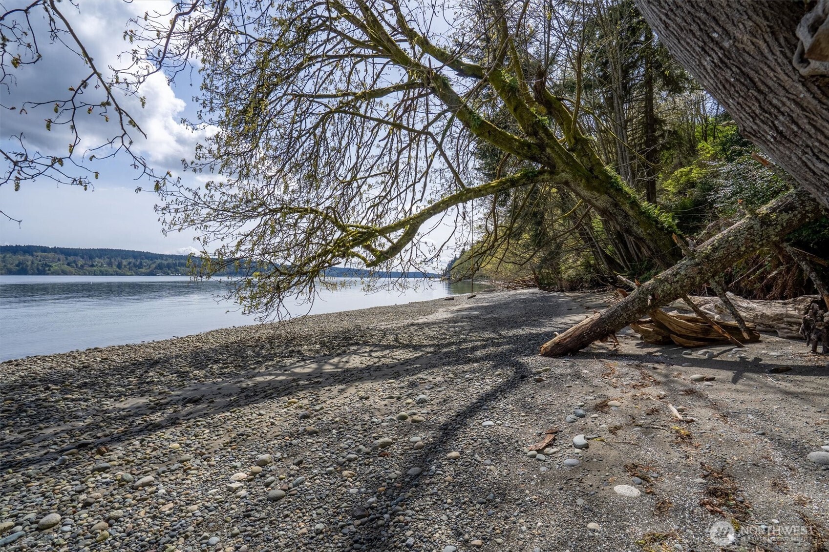 Port Orchard, Washington, 98367, United States, ,Land,For Sale,1767401