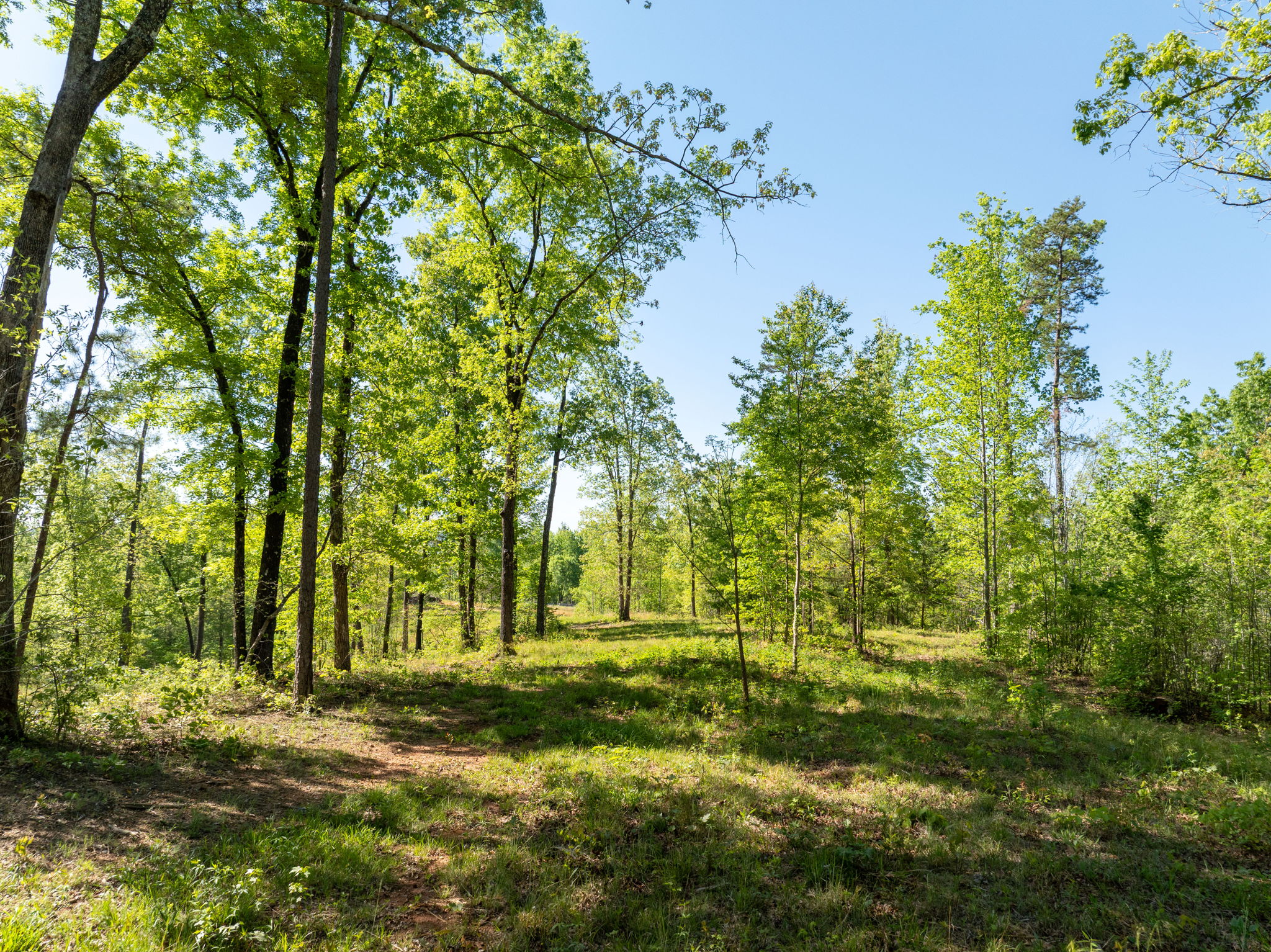  118 Harris Road, Pickens, SC 29671 - 物件實景