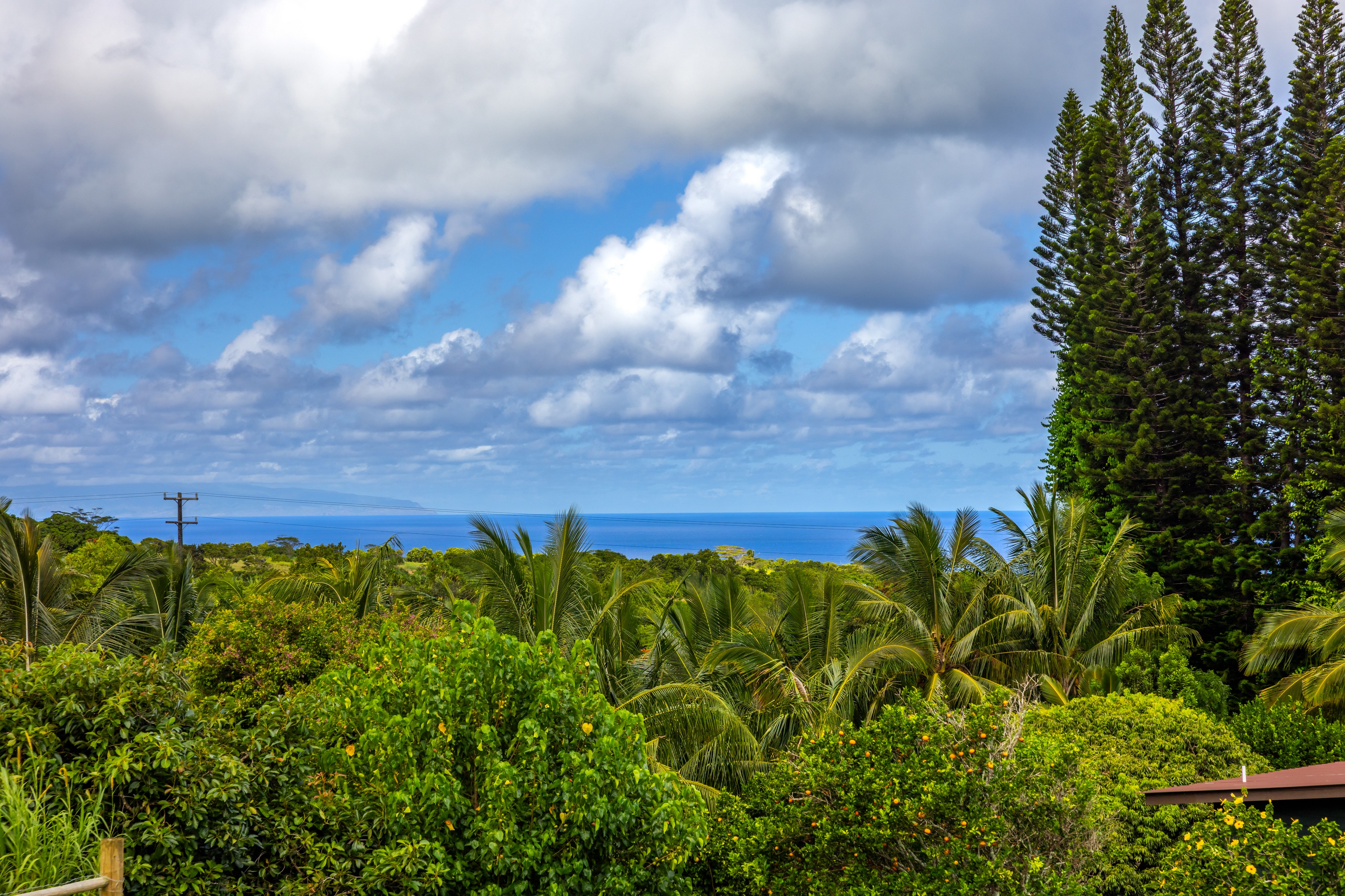 Peahi Mist A Tropical Oasis - 物件實景