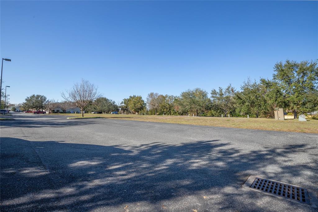 Mount Dora, Florida, 32757, United States, ,Land,For Sale,1856209