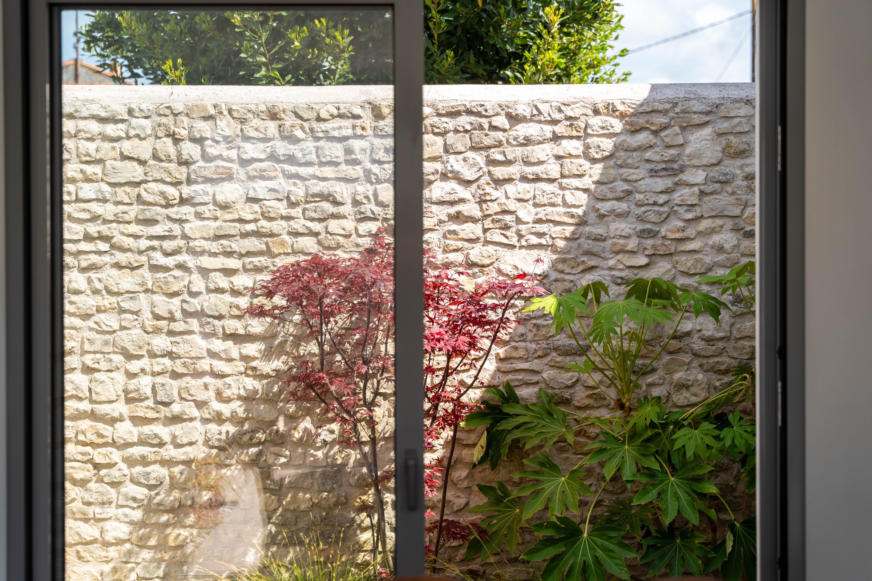  Maison - 物件實景