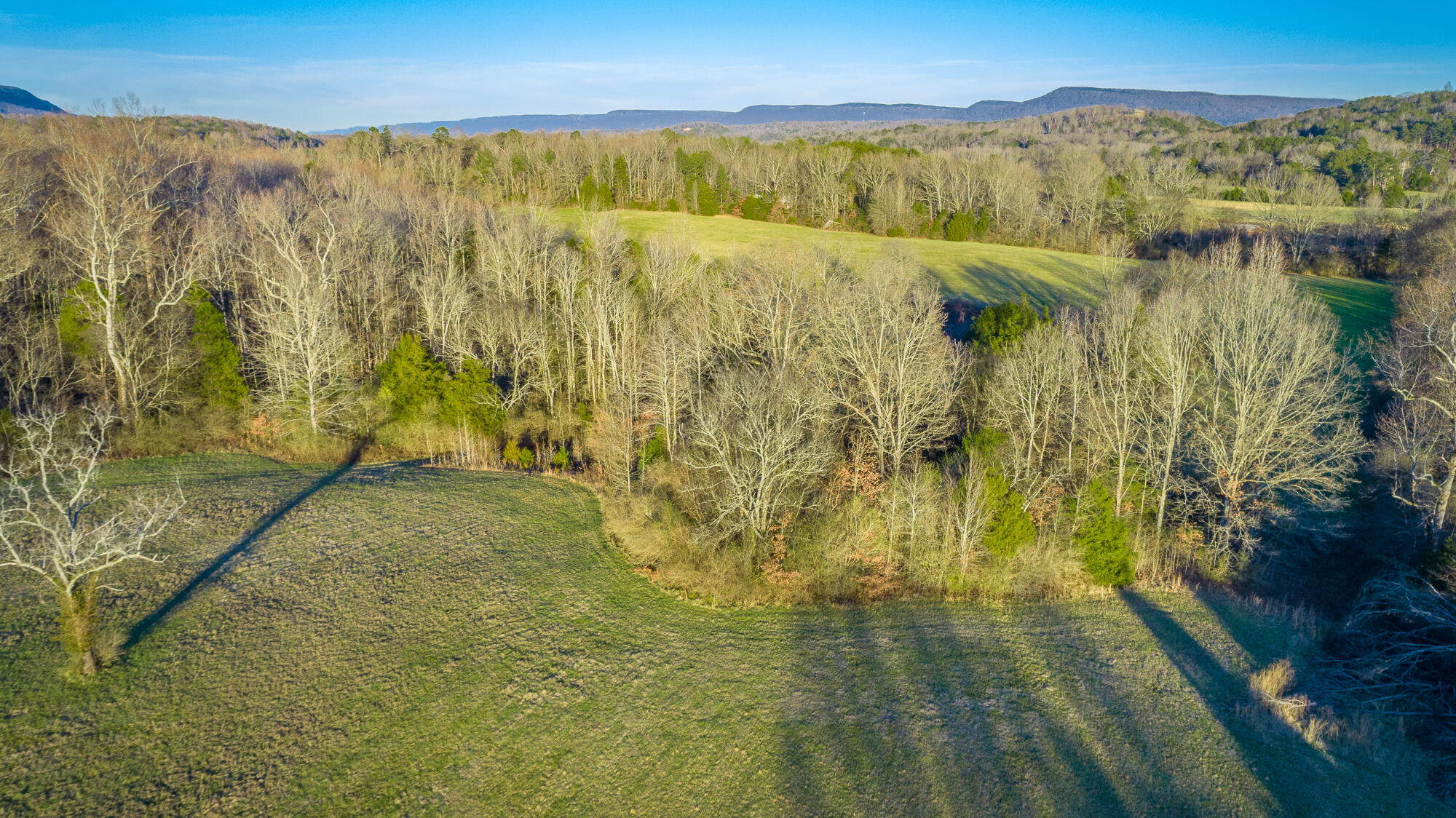 Jasper, Tennessee, 37347, United States, ,Land,For Sale,2009998