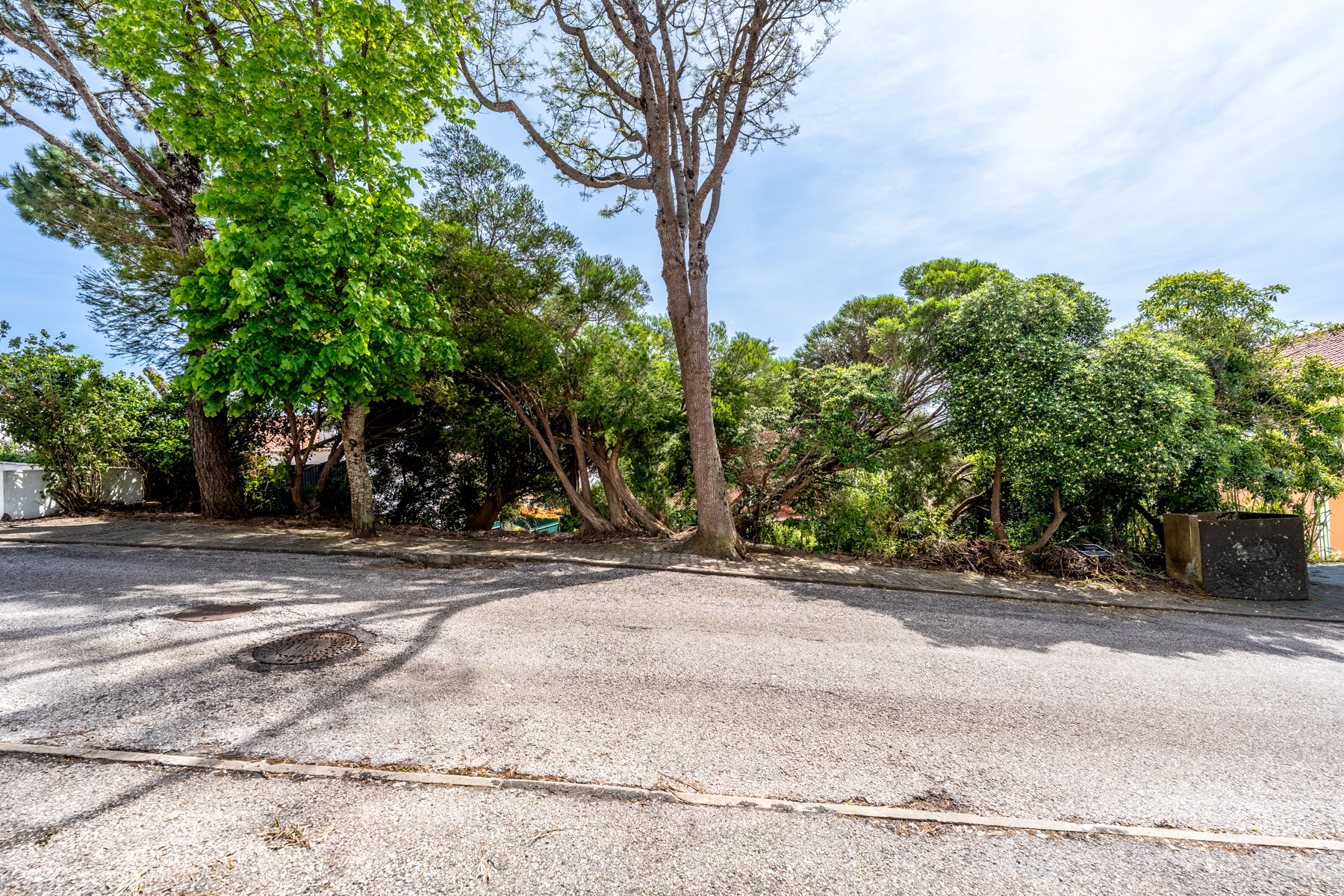  Real Estate building for Sale - 物件實景