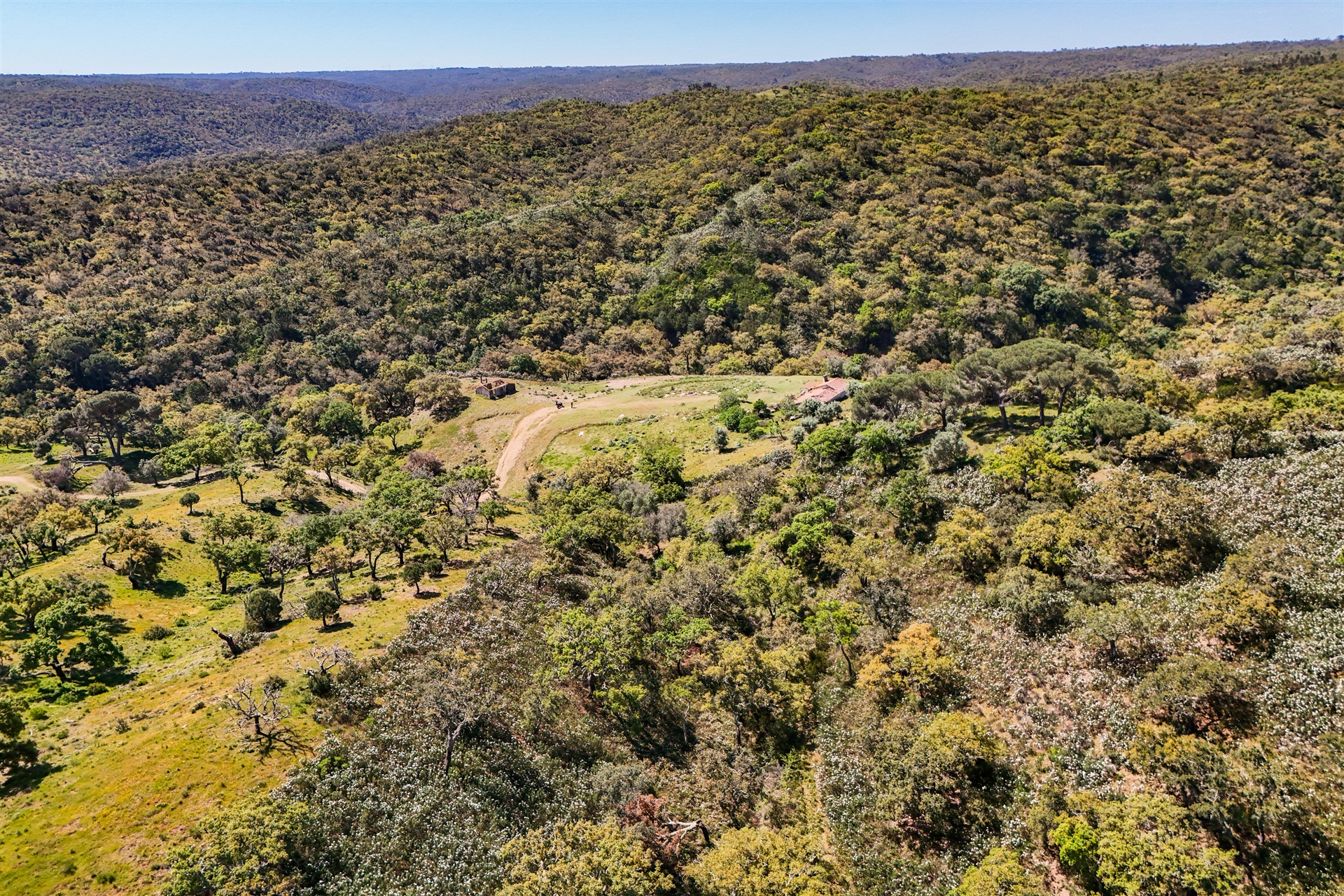  Real estate land for Sale - 物件實景