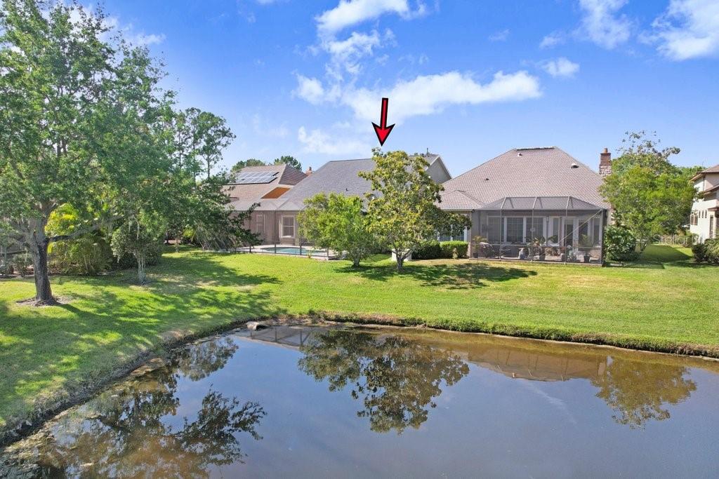 Tampa, Florida, 33626, United States, 4 Bedrooms Bedrooms, ,3 BathroomsBathrooms,Residential,For Sale,1794203