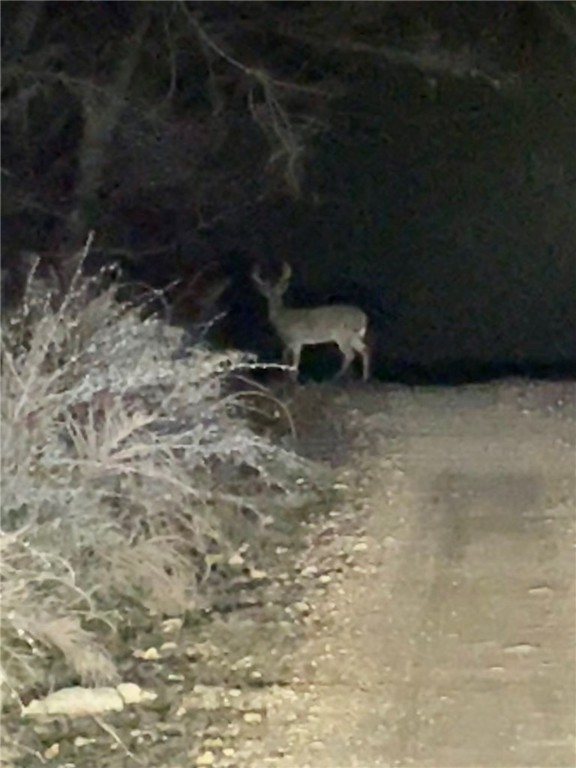 Berryville, Arkansas, 72616, United States, 6 Bedrooms Bedrooms, ,4 BathroomsBathrooms,Residential,For Sale,1988341