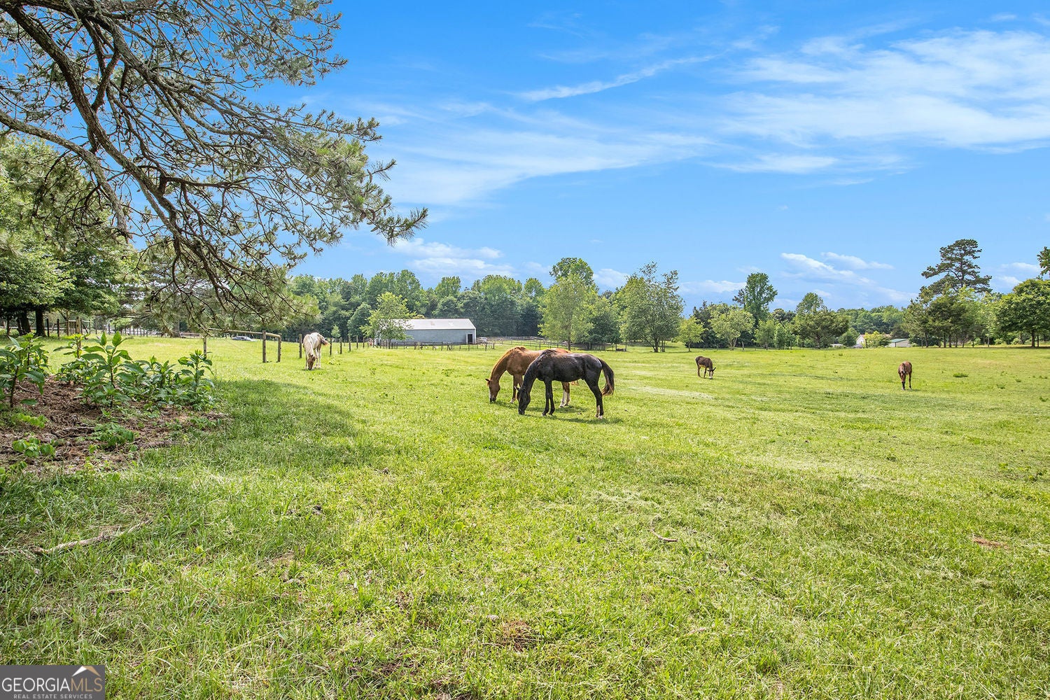 Commerce, Georgia, 30529, United States, ,Residential,For Sale,1858883