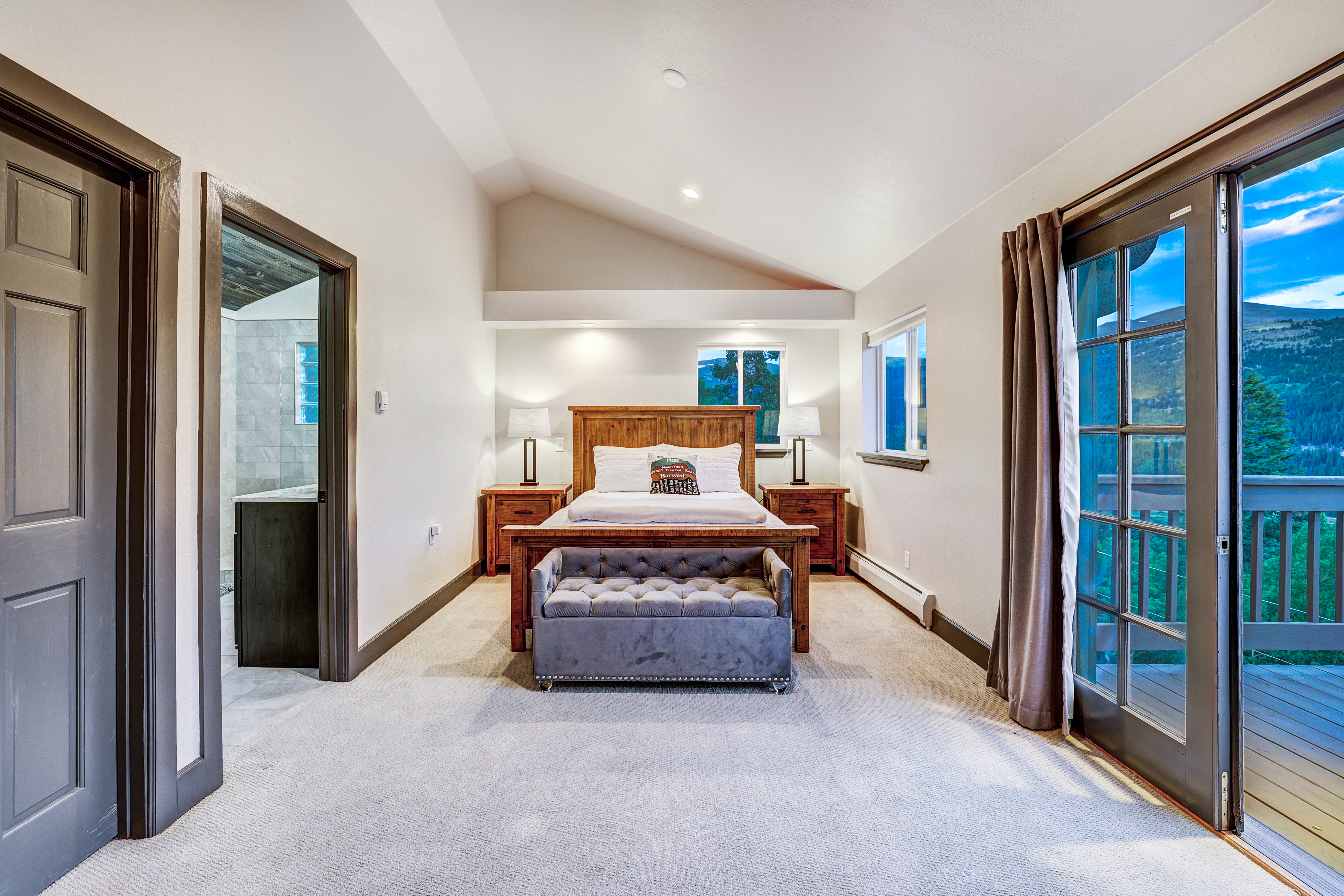  1095 Quartzville,Alma, CO, 80420 - 物件實景