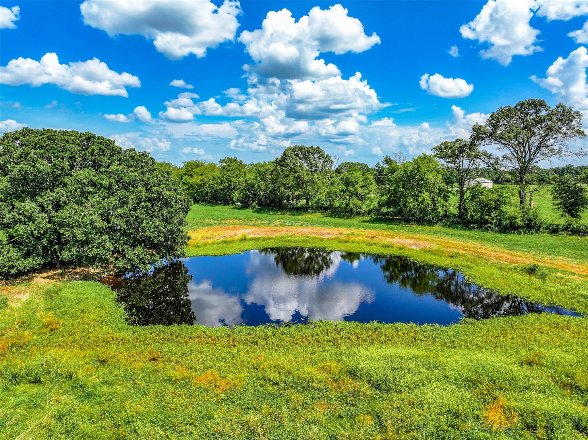 Alba, Texas, 75410, United States, ,Residential,For Sale,1886951