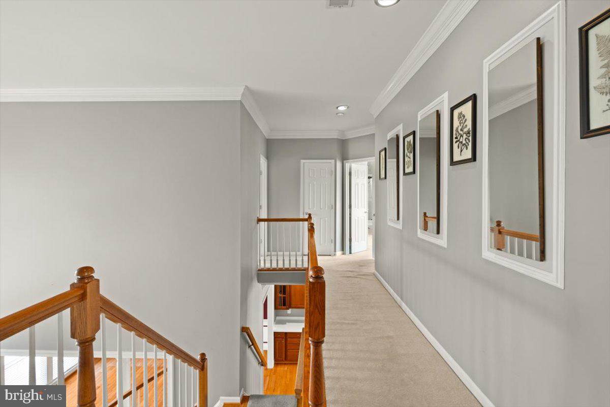 Winchester, Virginia, 22601, United States, 4 Bedrooms Bedrooms, ,5 BathroomsBathrooms,Residential,For Sale,1874493