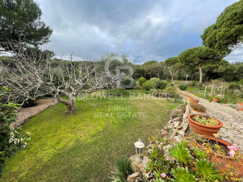 Girona, Palafrugell, Calella Girona, Palafrugell, Palafrugell, Catalonia, ES, 5 Bedrooms Bedrooms, ,3 BathroomsBathrooms,Residential,For Sale,Girona, Palafrugell, Calella Girona, Palafrugell, ,1448958