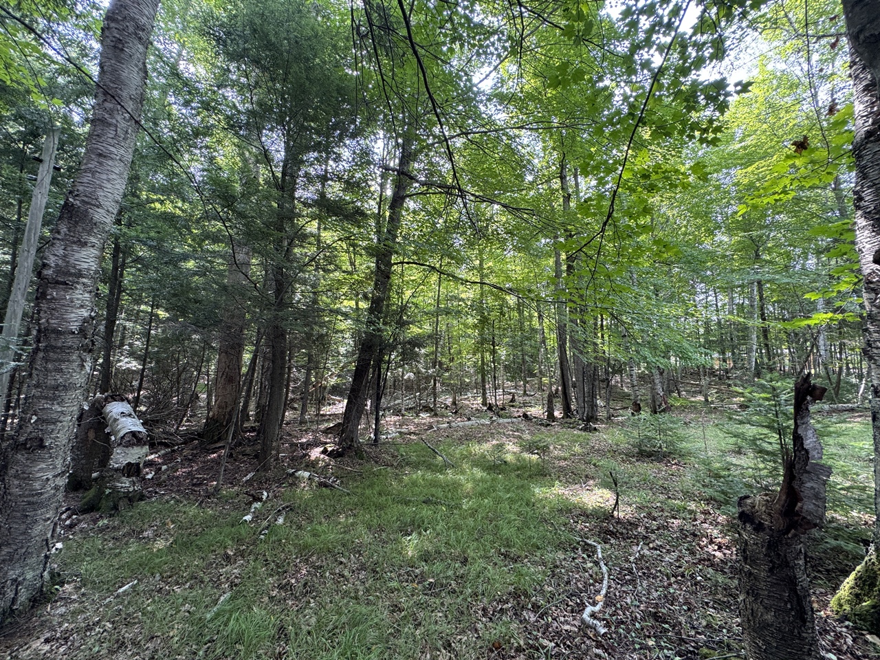 Mercer, Wisconsin, 54547, United States, 3 Bedrooms Bedrooms, ,1 BathroomBathrooms,Residential,For Sale,1974621