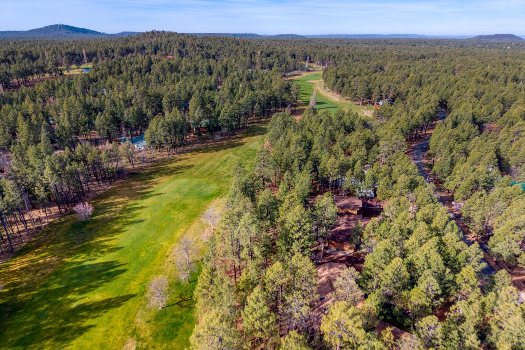  7139 Buck Springs Road  Pinetop, AZ - 物件實景