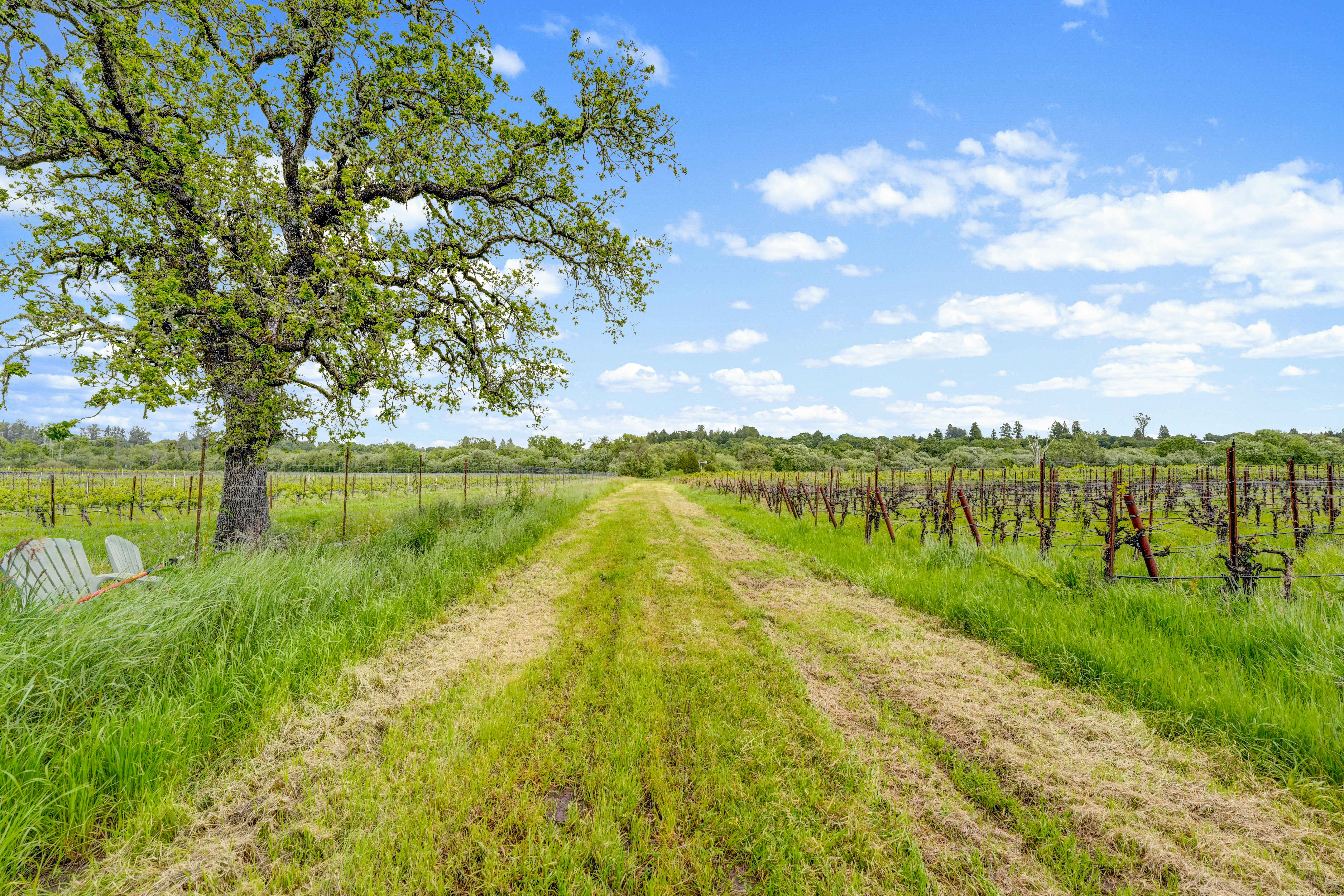  9700 Mill Station Road, Sebastopol, CA 95472 - 物件實景