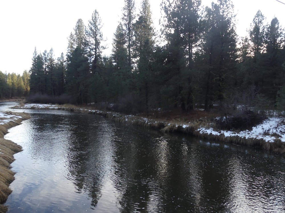 New Meadows, Idaho, 83654, United States, ,Land,For Sale,2005639