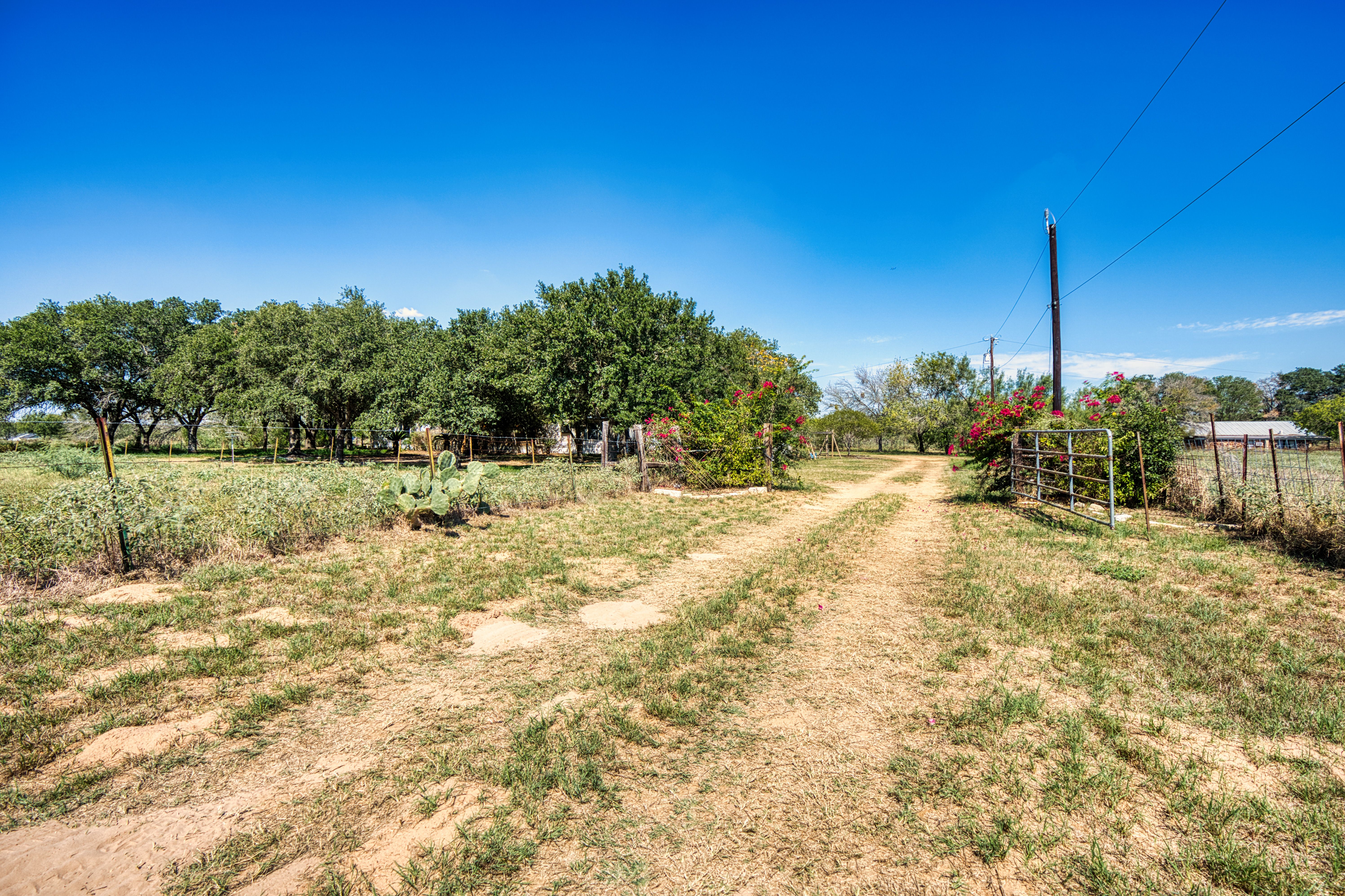  Country Living with Room to Roam - 物件實景