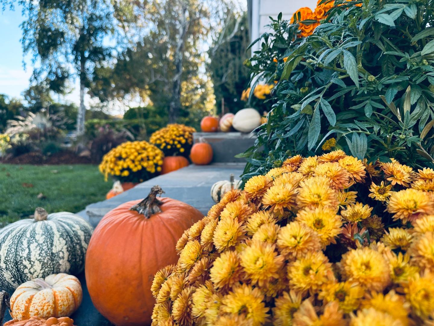 San Jose, California, 95126, United States, 4 Bedrooms Bedrooms, ,3 BathroomsBathrooms,Residential,For Sale,1988226