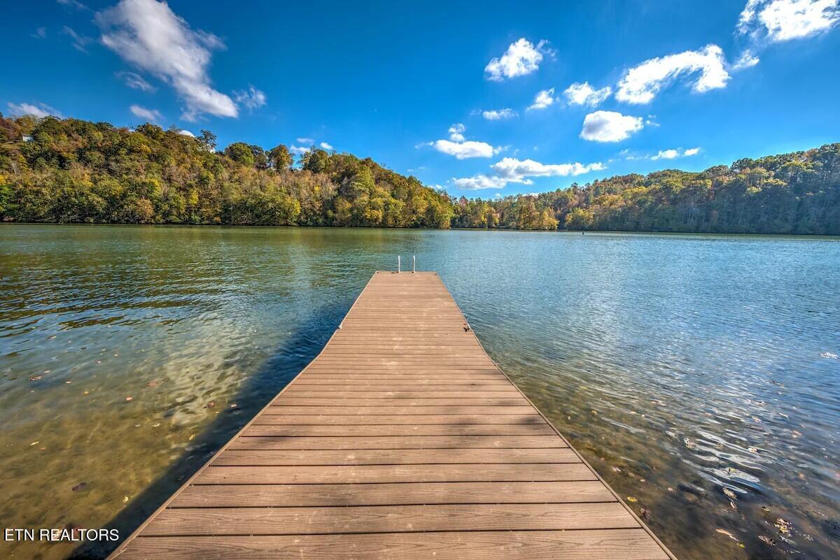 Harriman, Tennessee, 37748, United States, 3 Bedrooms Bedrooms, ,2 BathroomsBathrooms,Residential,For Sale,1907631