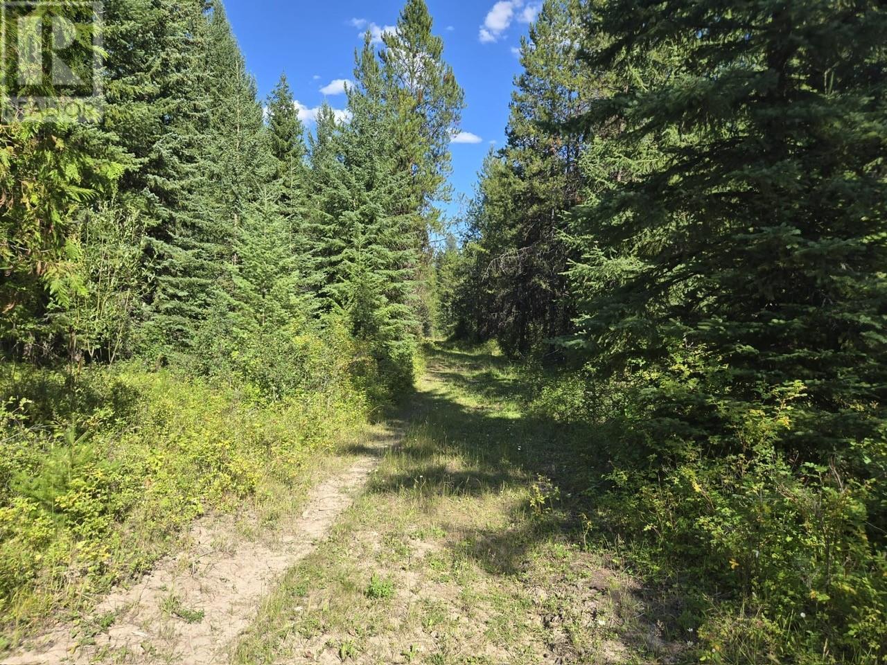FALKLAND, British Columbia, V0E 1W1, CA, ,Residential,For Sale,1906760