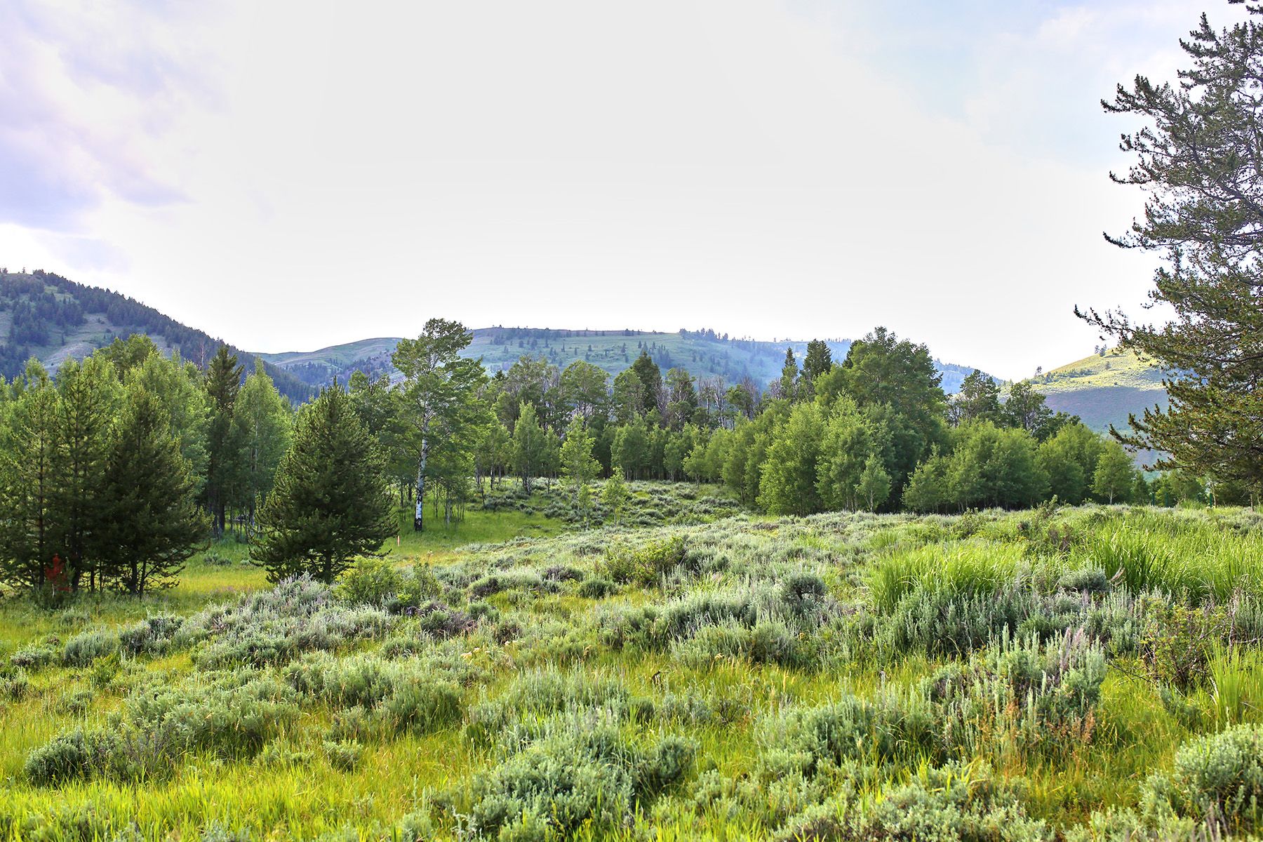  Snake River Sporting Club Lot - 物件實景