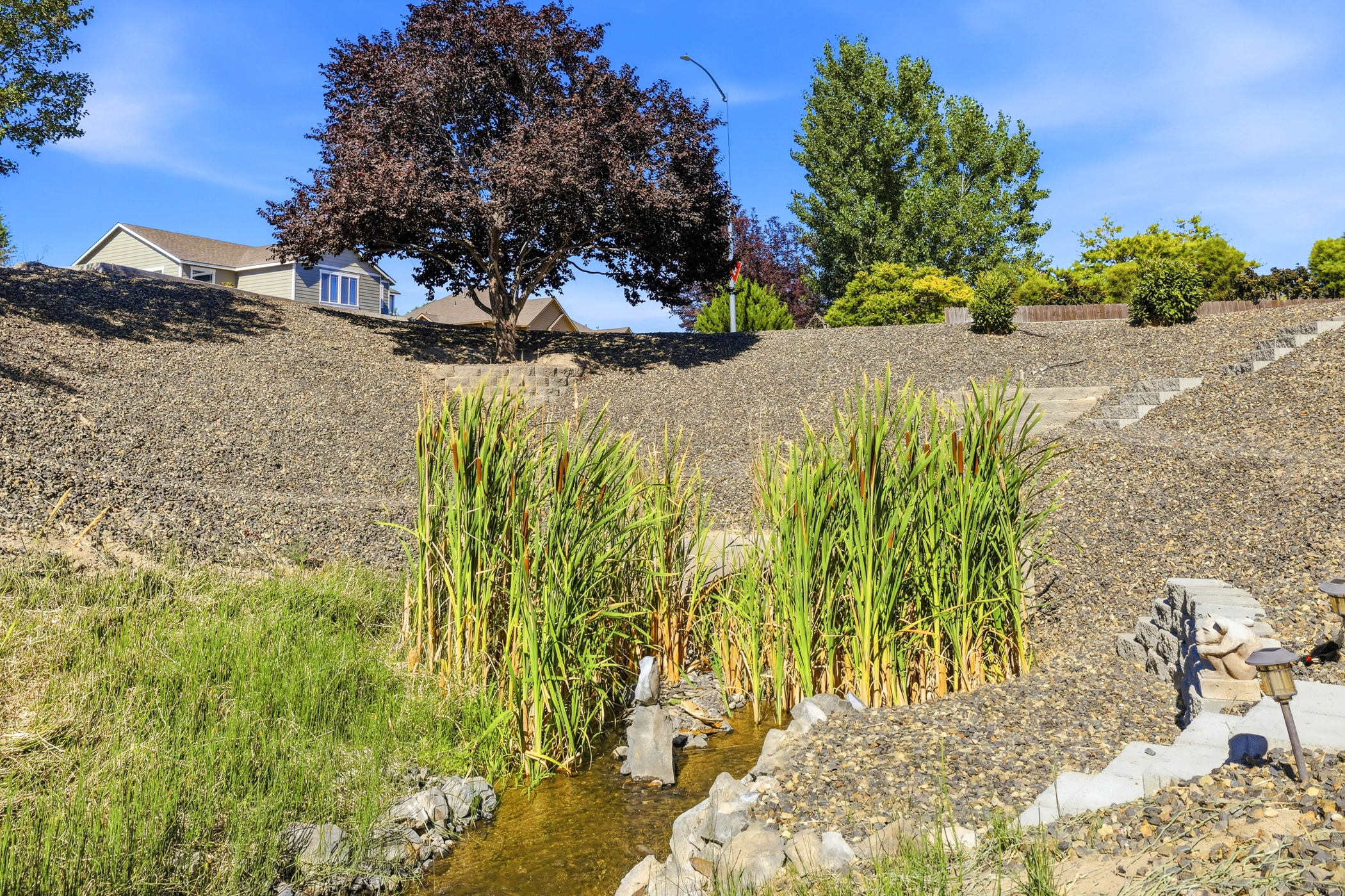  A Rare Creekside Sanctuary in Meadow Park Estates - 物件實景