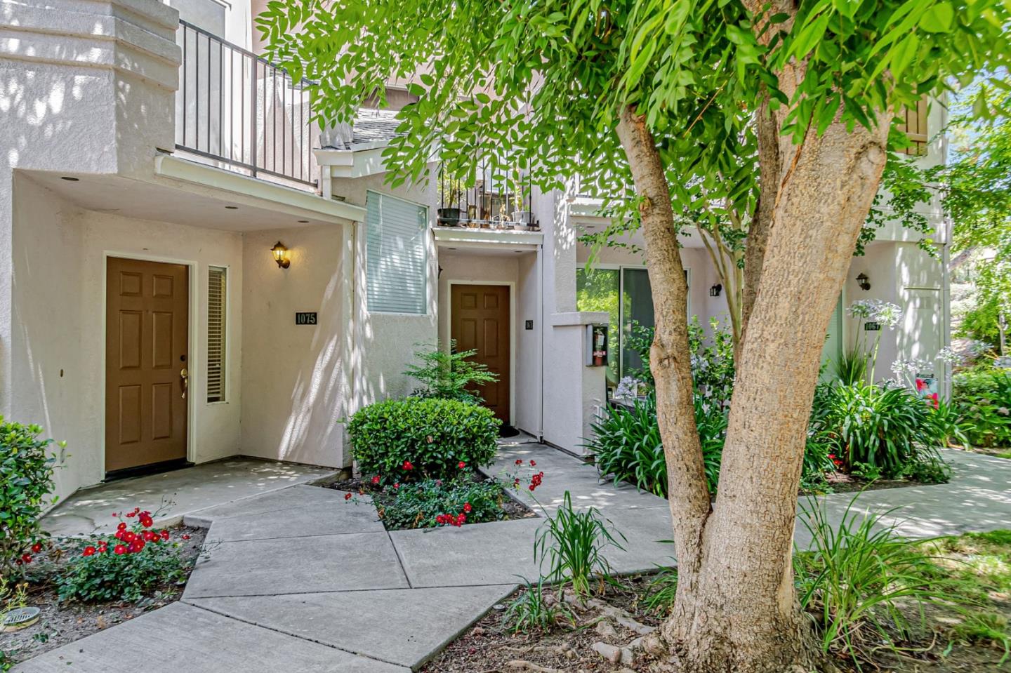 San Jose, California, 95138, United States, 3 Bedrooms Bedrooms, ,3 BathroomsBathrooms,Residential,For Sale,1902471