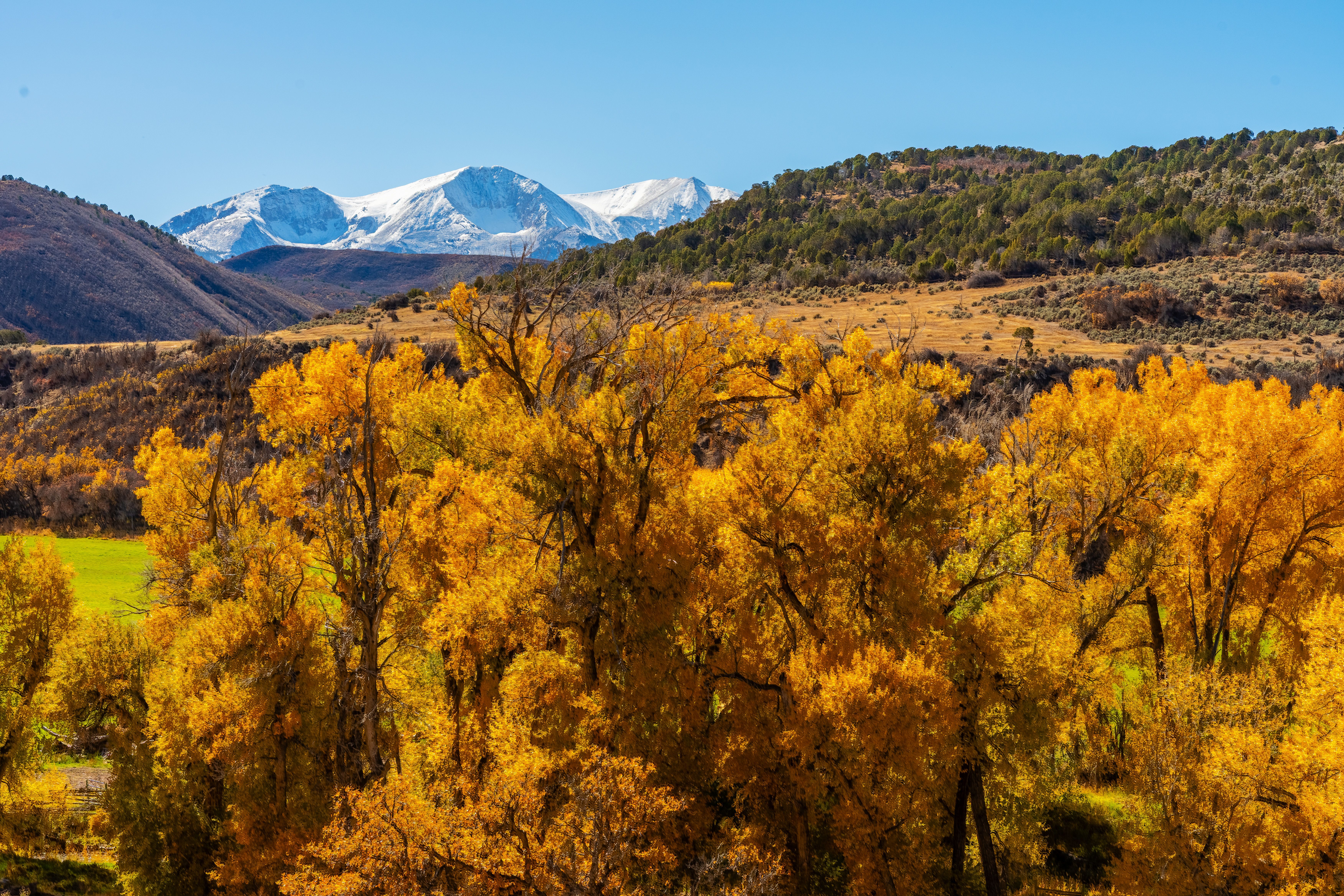  Crafted by Hand, Framed by Sopris - 物件實景