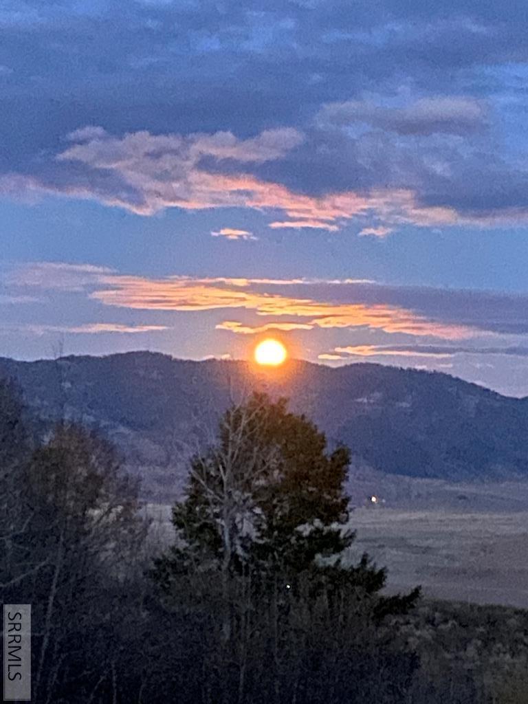 SWAN VALLEY, Idaho, 83449, United States, ,Land,For Sale,1982720