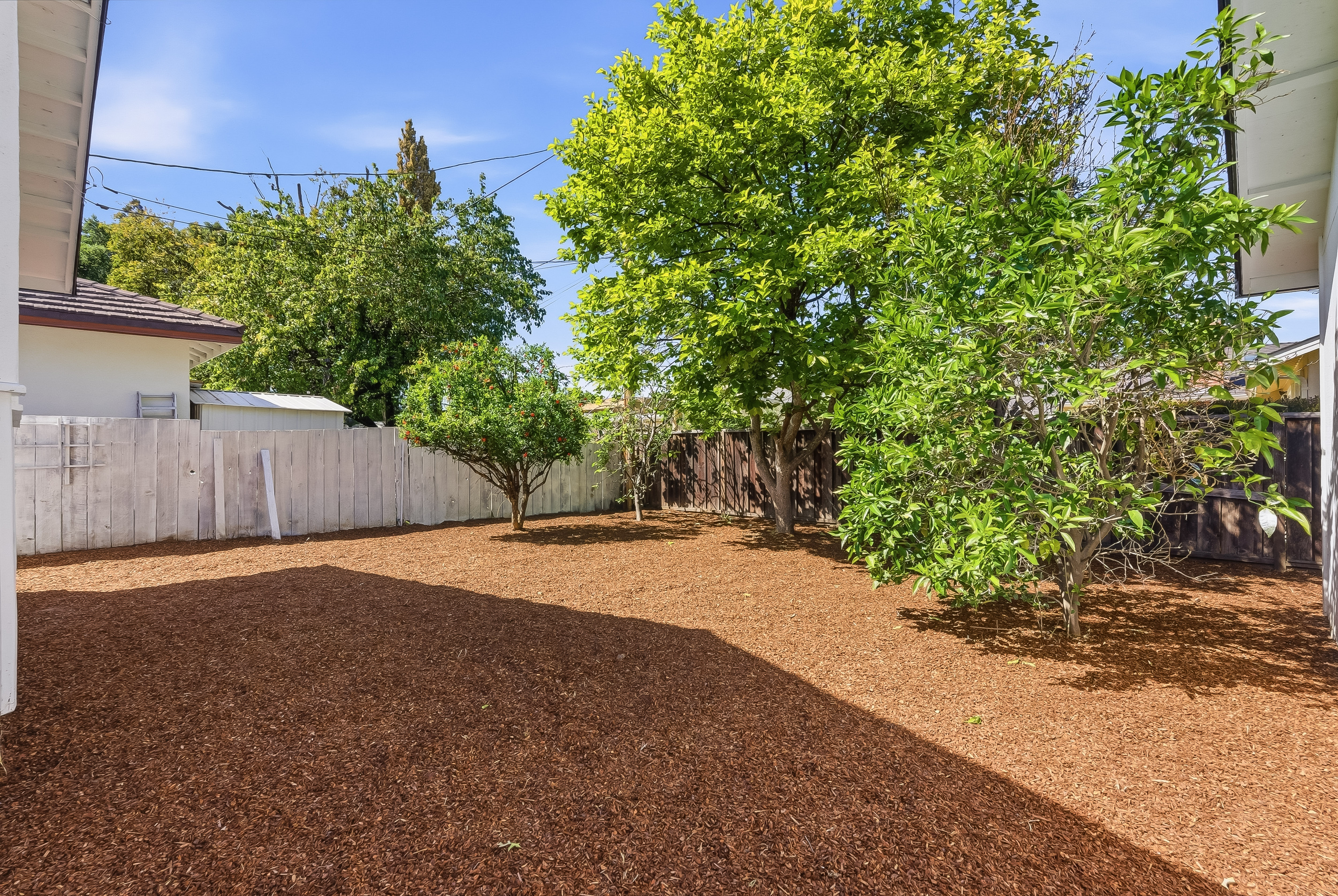  Charming Home in Sunnyvale’s Desirable Neighborhood - 物件實景